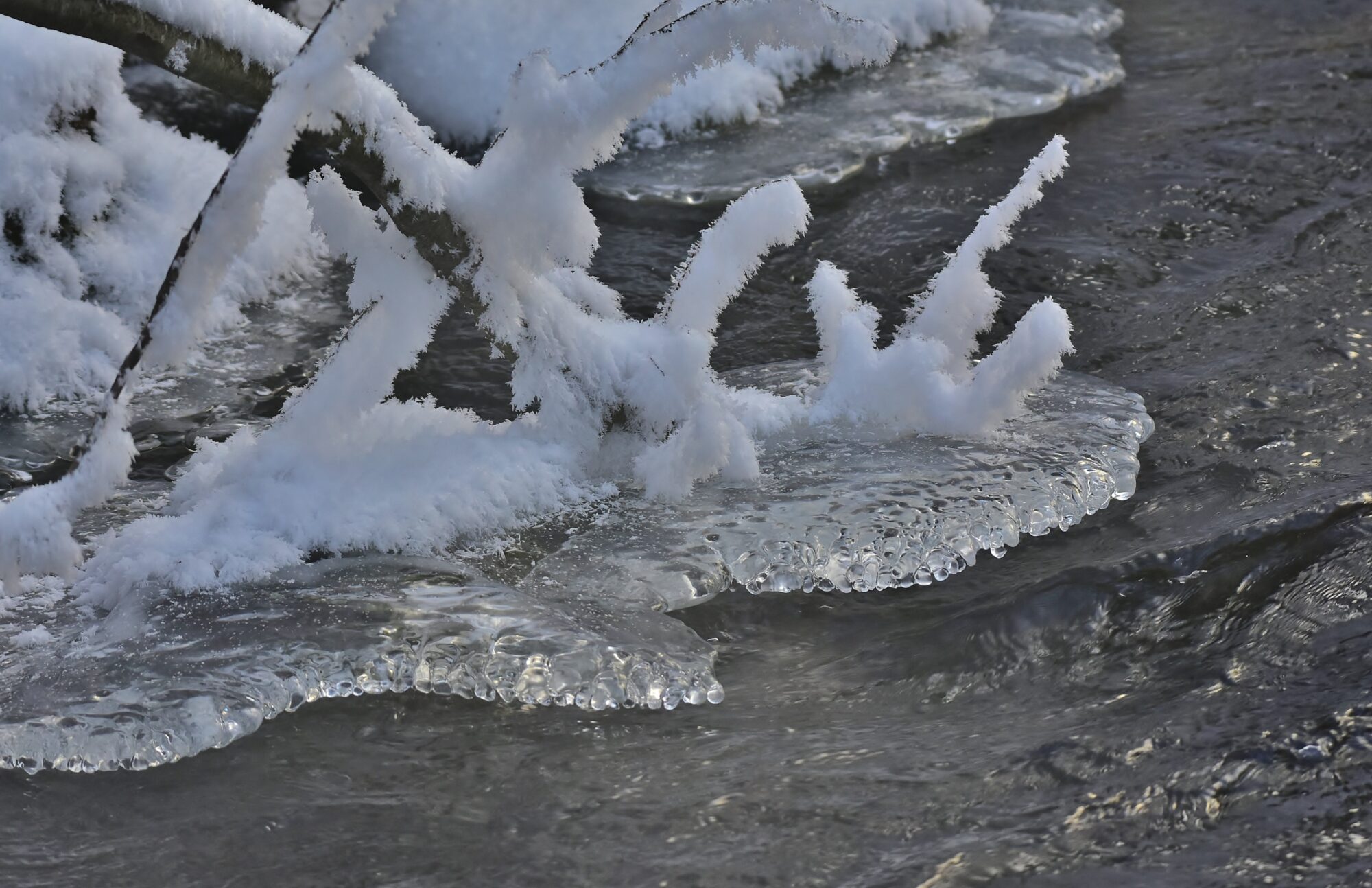 Valokuvaaja: Markku Pelkonen