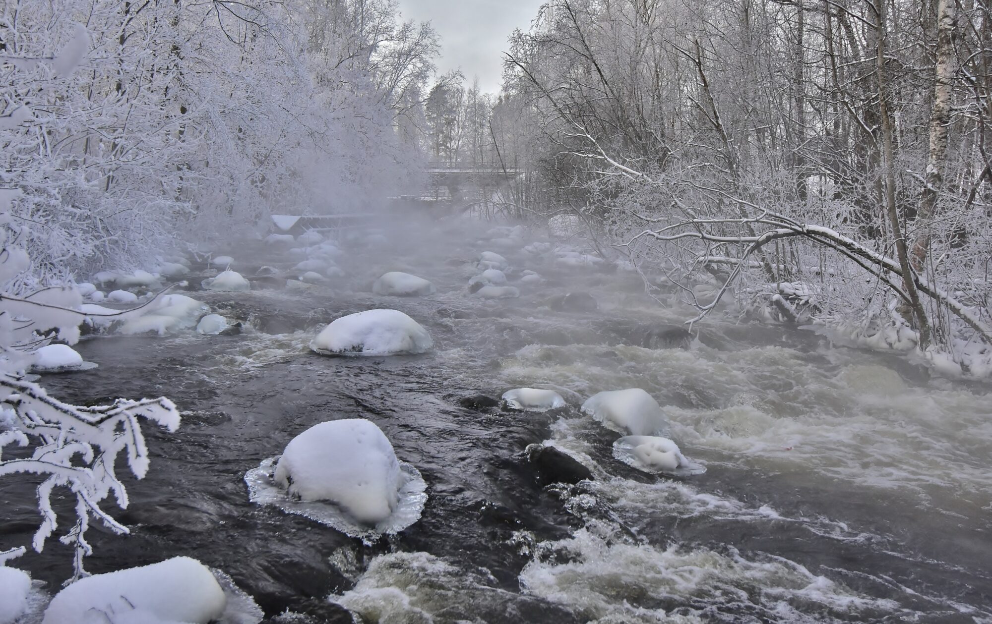 Valokuvaaja: Markku Pelkonen