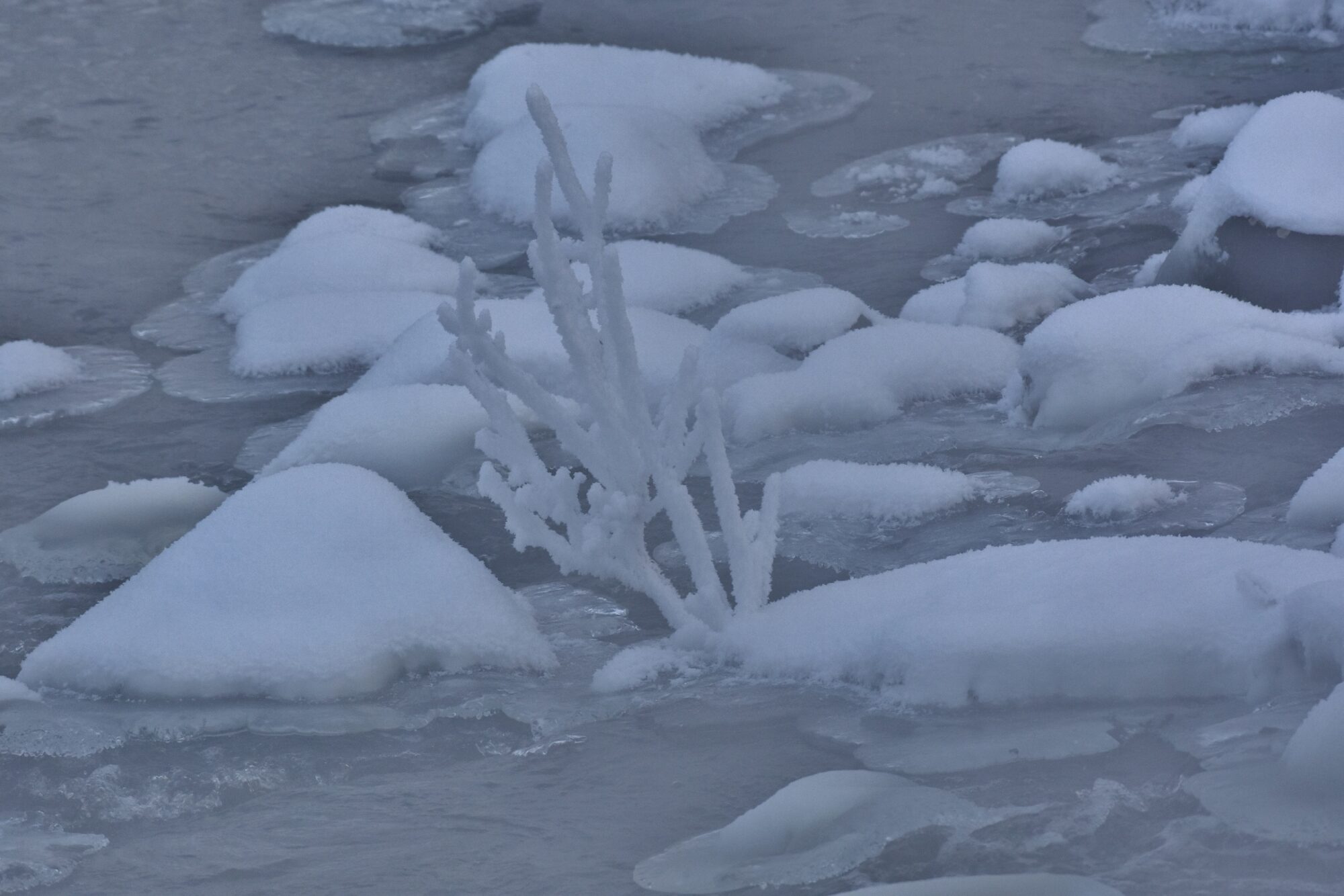 Valokuvaaja: Markku Pelkonen