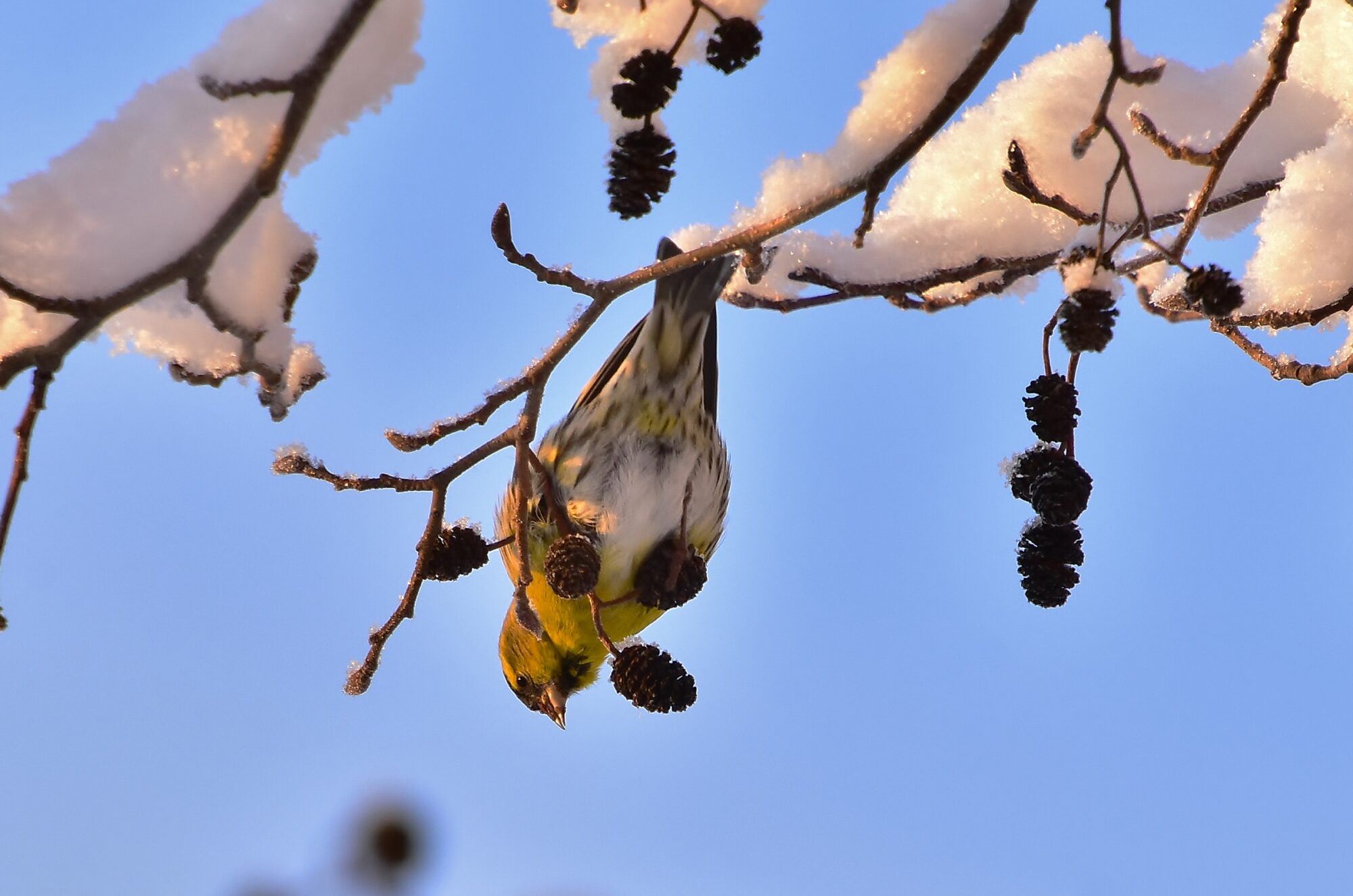 Valokuvaaja: Markku Pelkonen