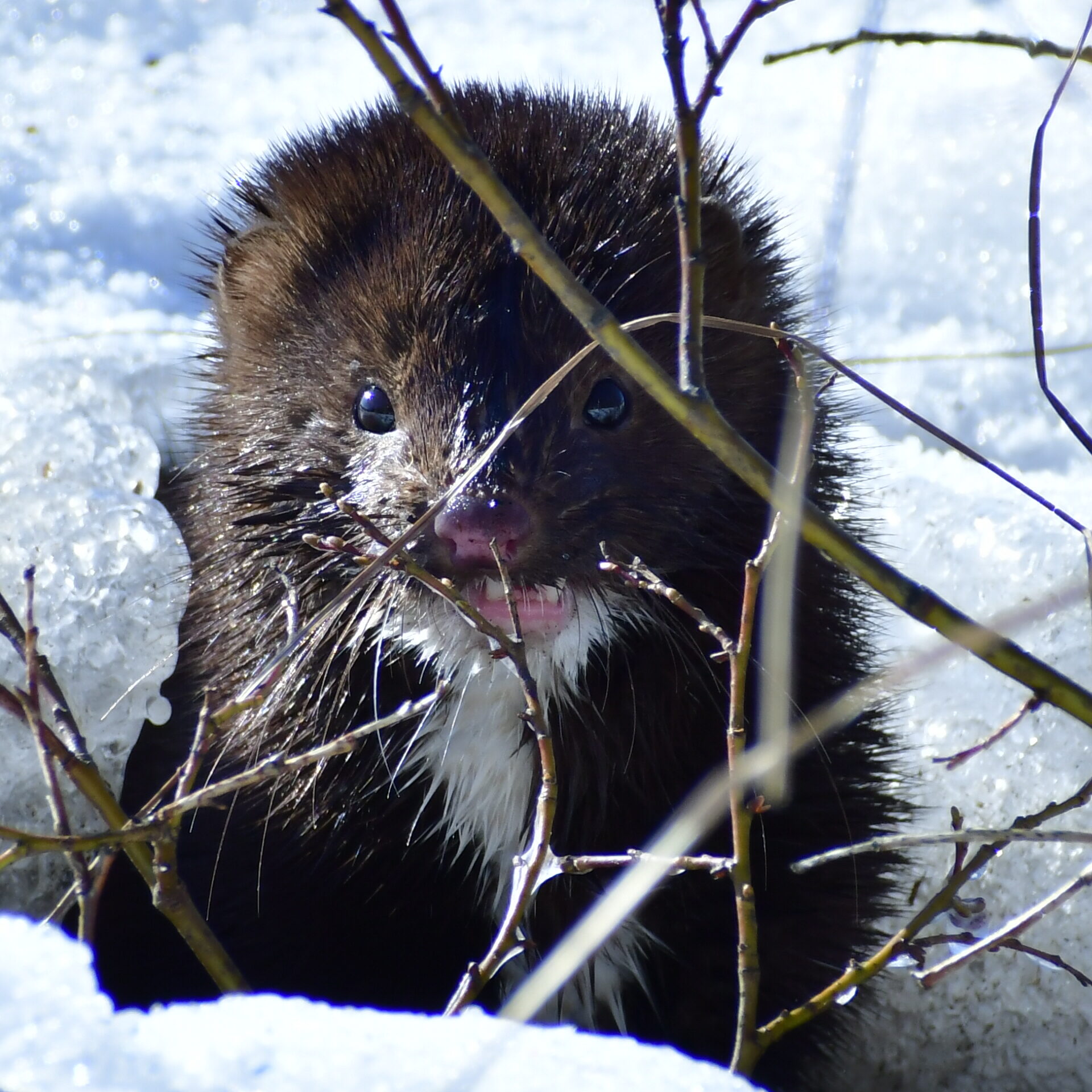 Valokuvaaja: Satu Väisänen