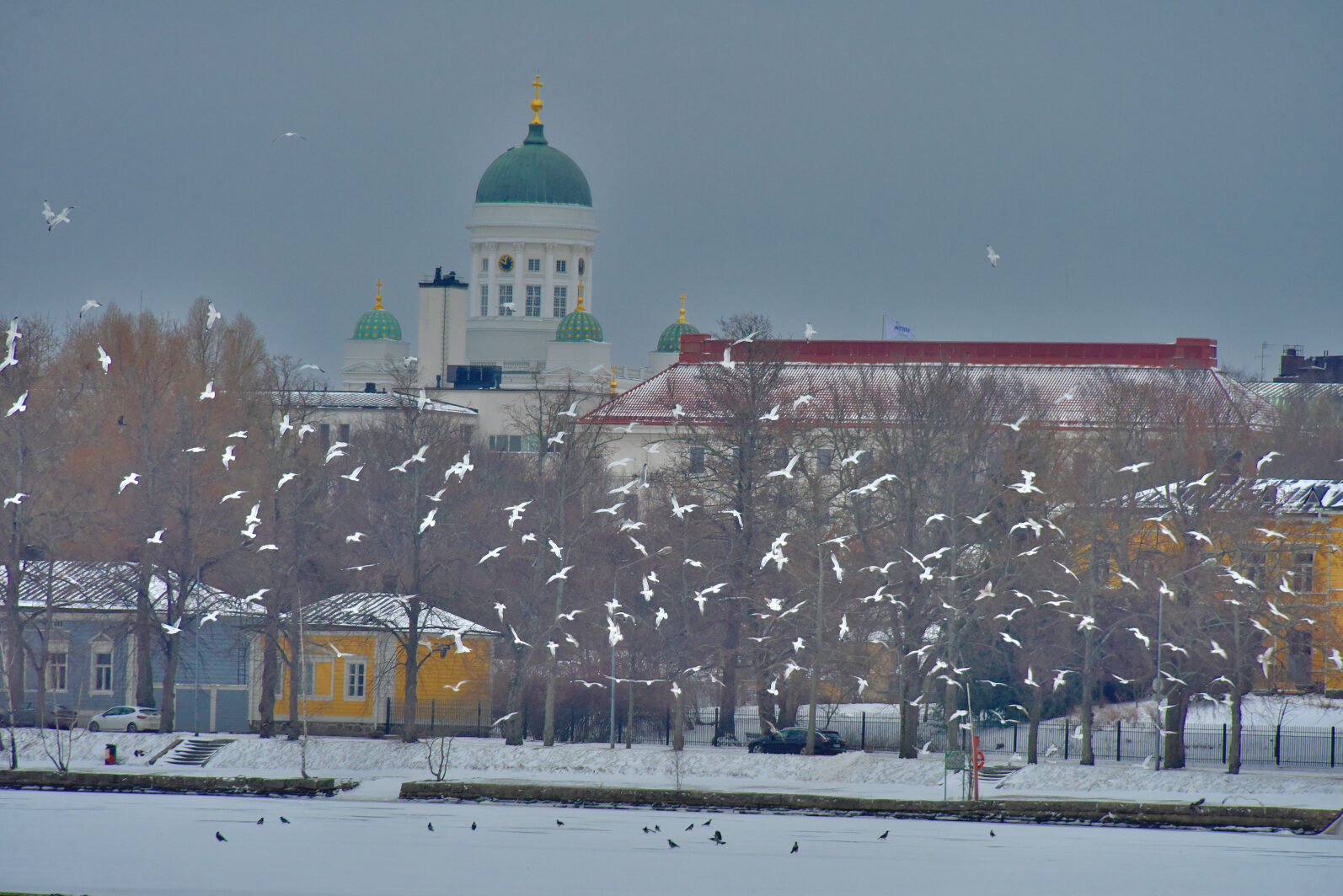 Valokuvaaja: Reijo Juurinen