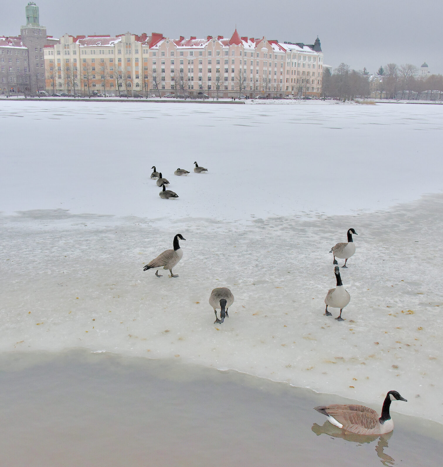 Valokuvaaja: Reijo Juurinen