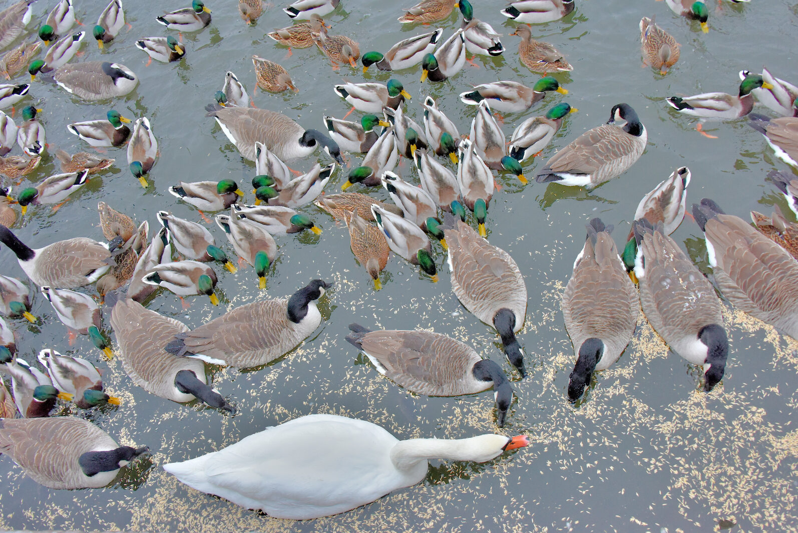 Valokuvaaja: Reijo Juurinen