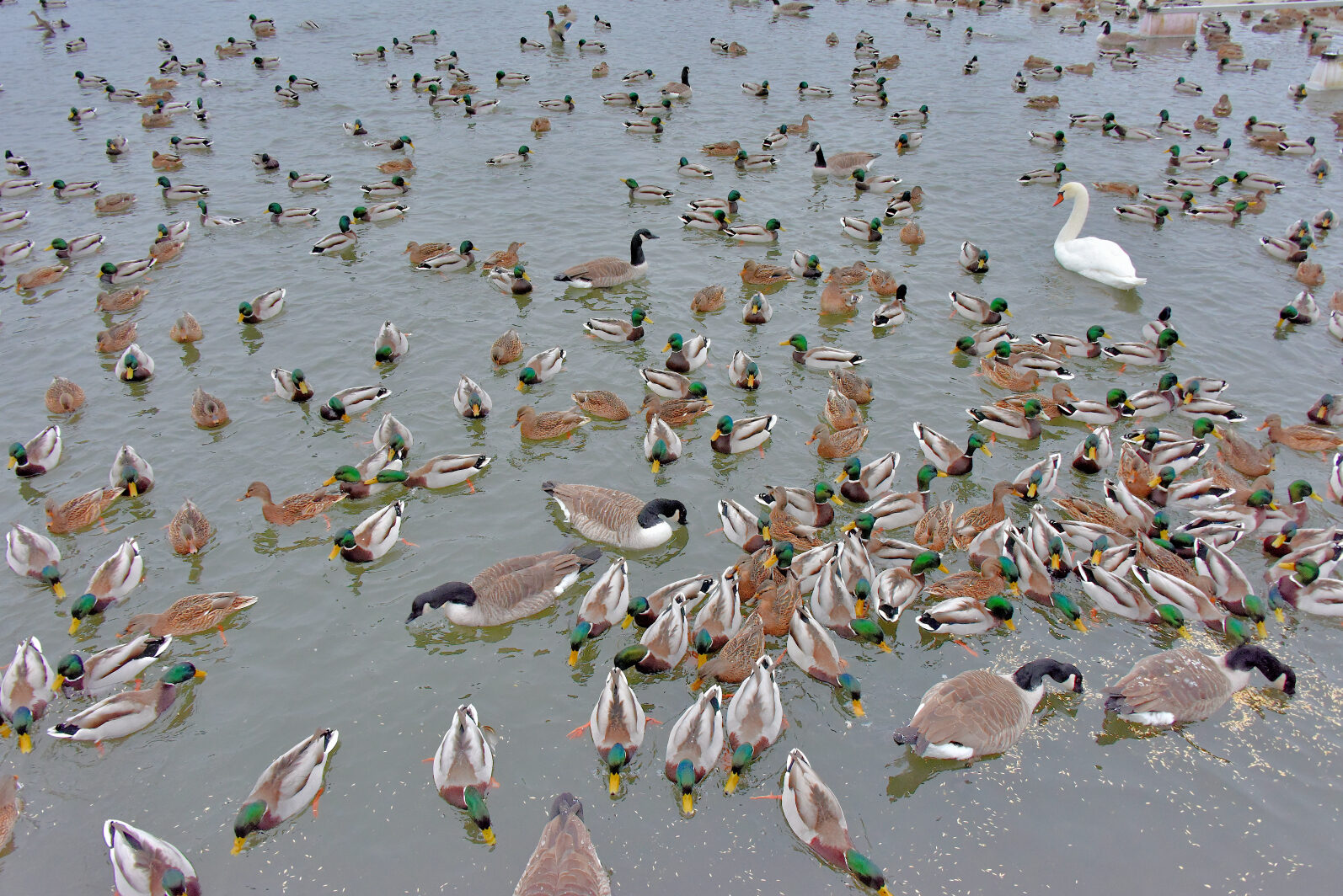 Valokuvaaja: Reijo Juurinen