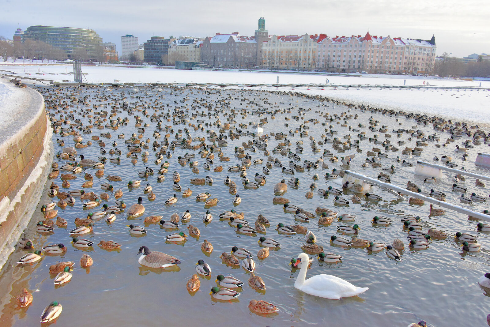 Valokuvaaja: Reijo Juurinen