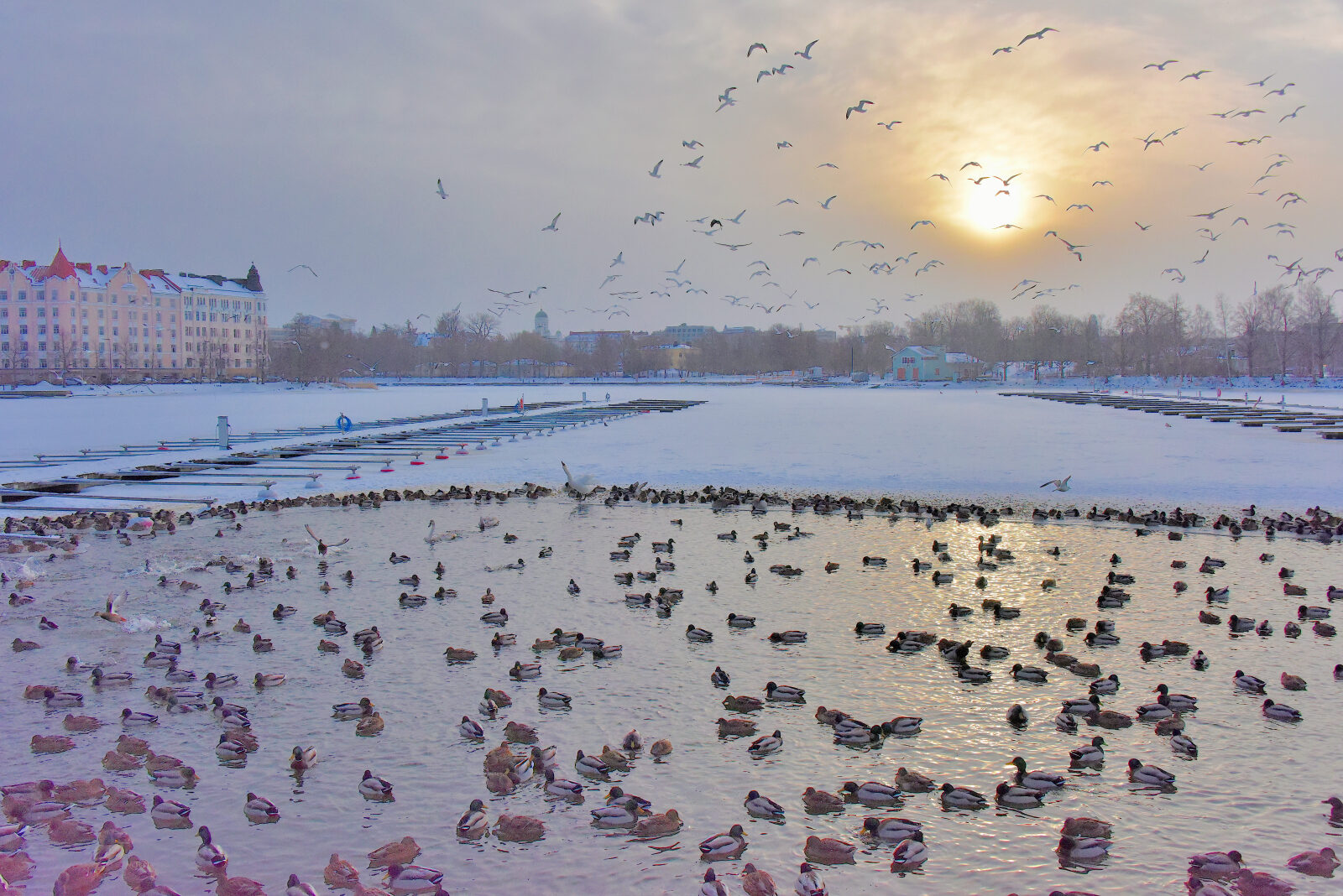 Valokuvaaja: Reijo Juurinen