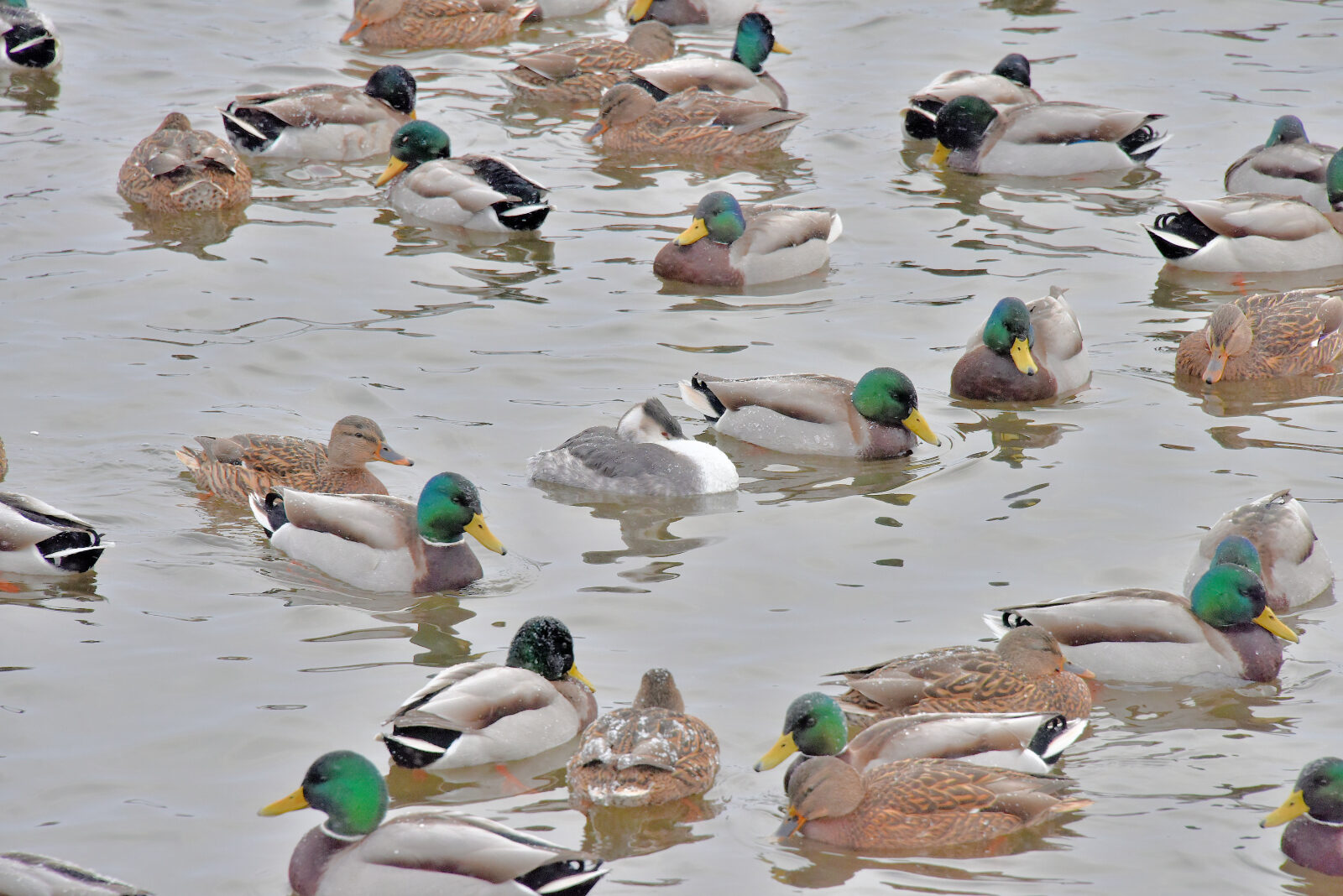 Valokuvaaja: Reijo Juurinen