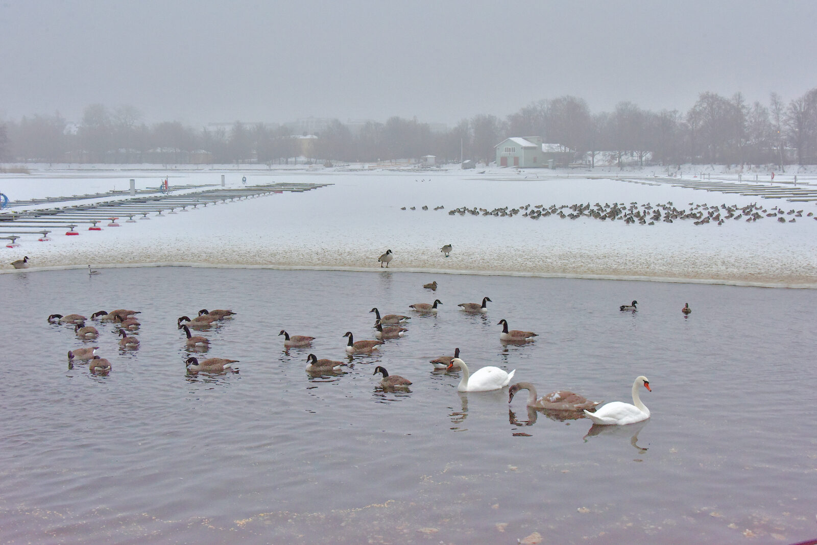 Valokuvaaja: Reijo Juurinen