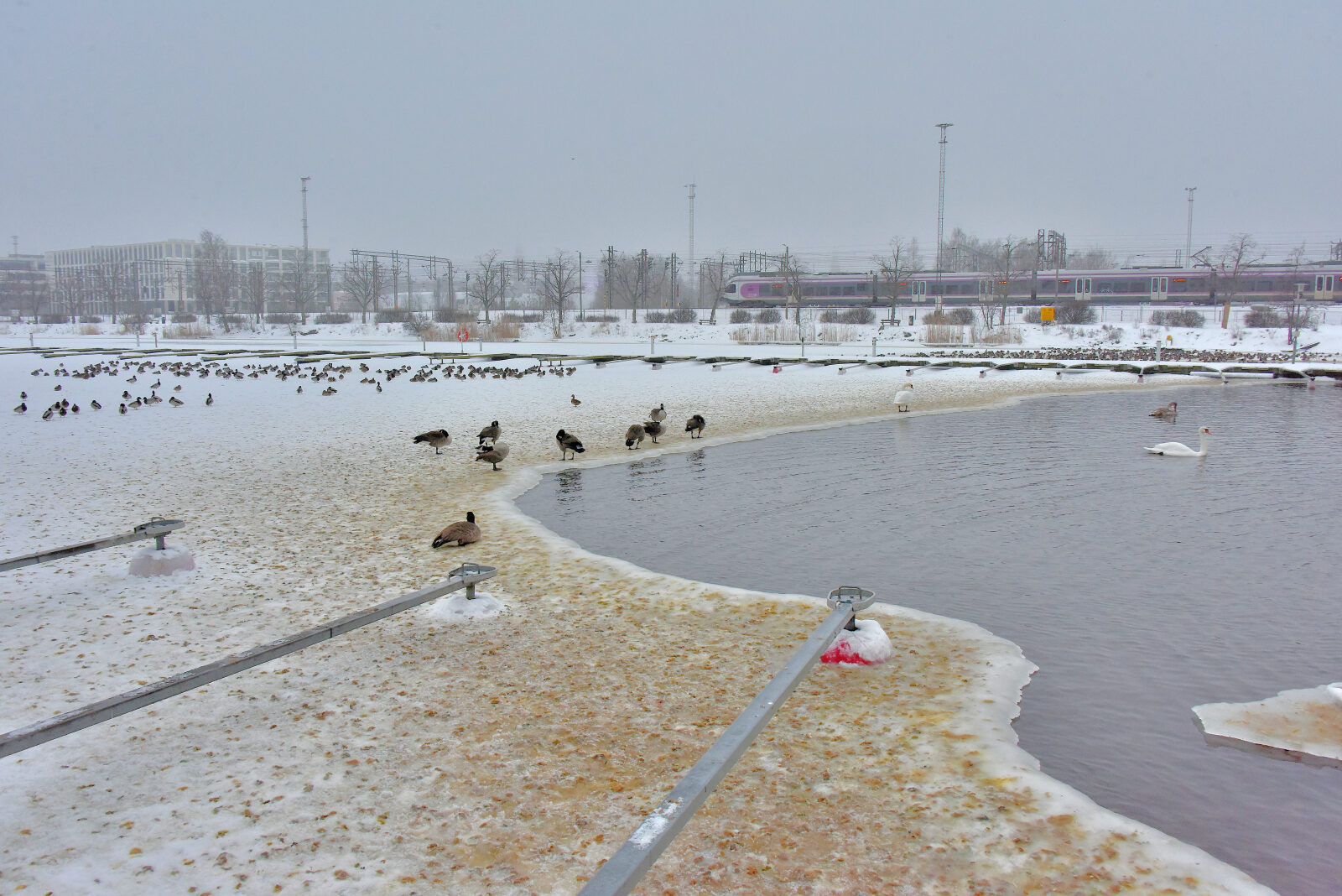 Valokuvaaja: Reijo Juurinen