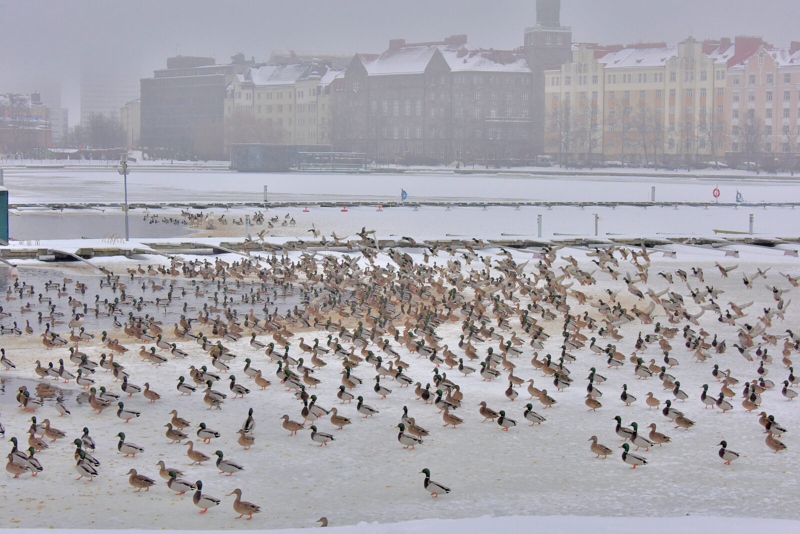 Valokuvaaja: Reijo Juurinen