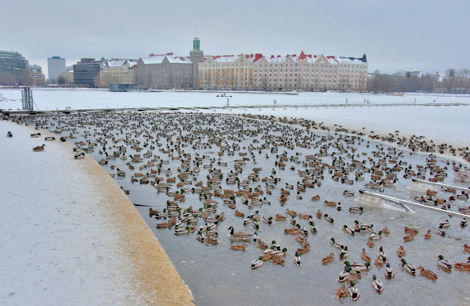 Valokuvaaja: Reijo Juurinen