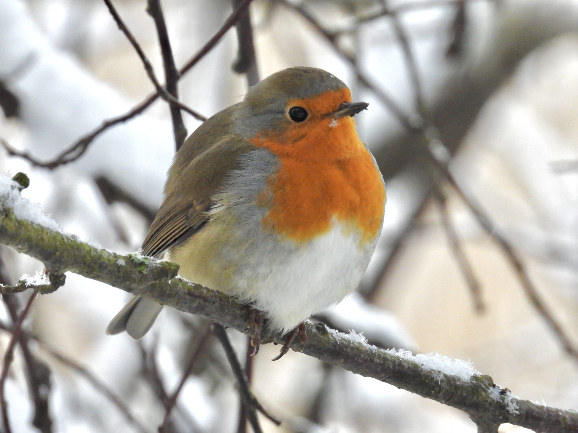 Valokuvaaja: Juhani Peltonen