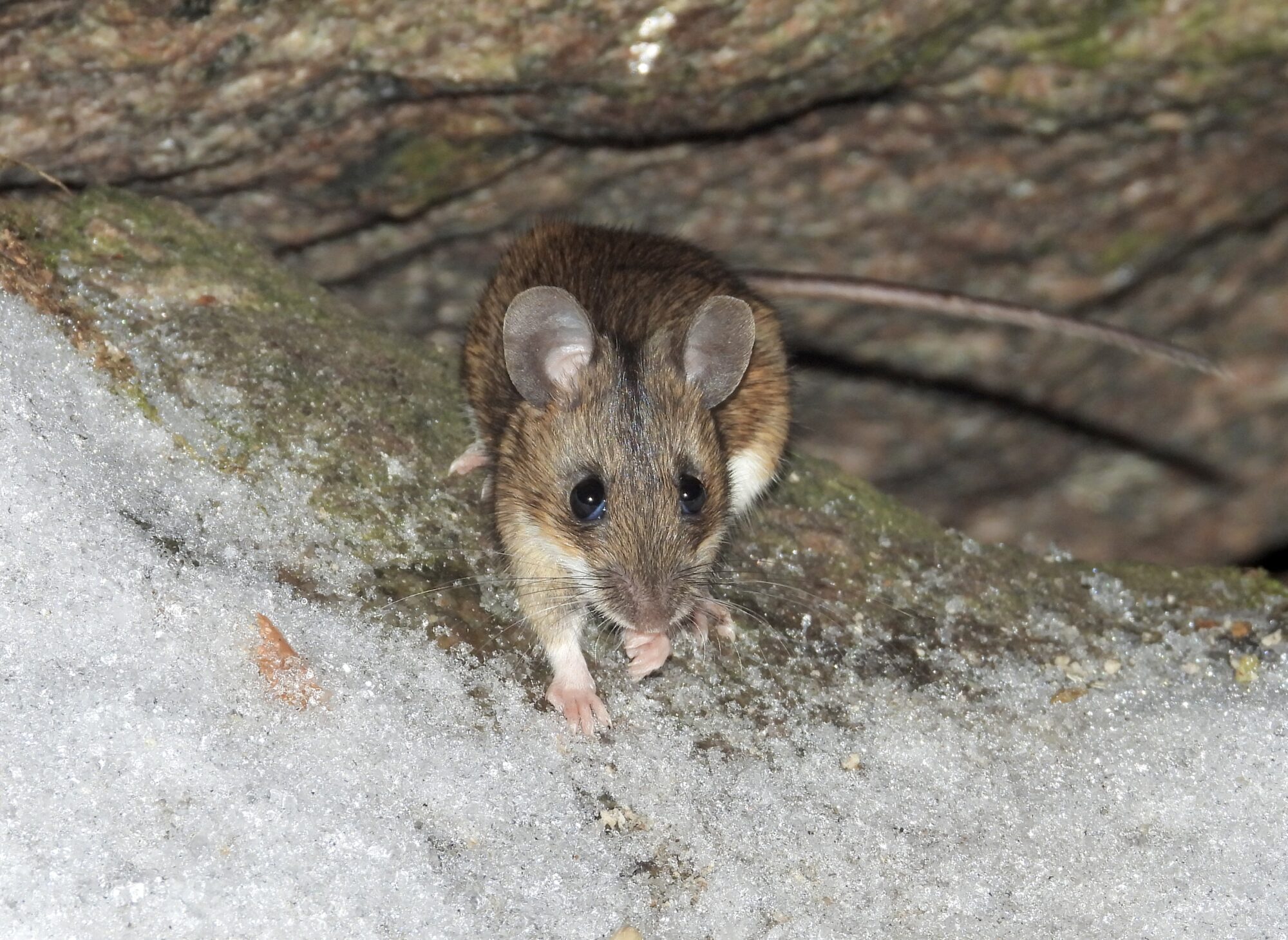 Valokuvaaja: Juhani Peltonen