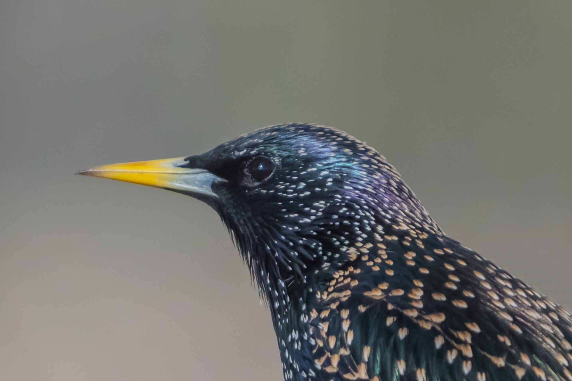 Valokuvaaja: Markku Saarinen