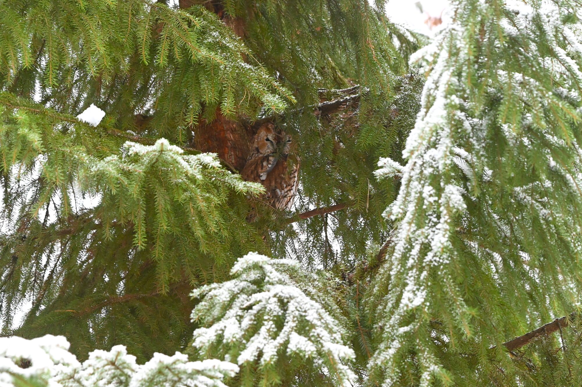 Valokuvaaja: Maarit Siitonen