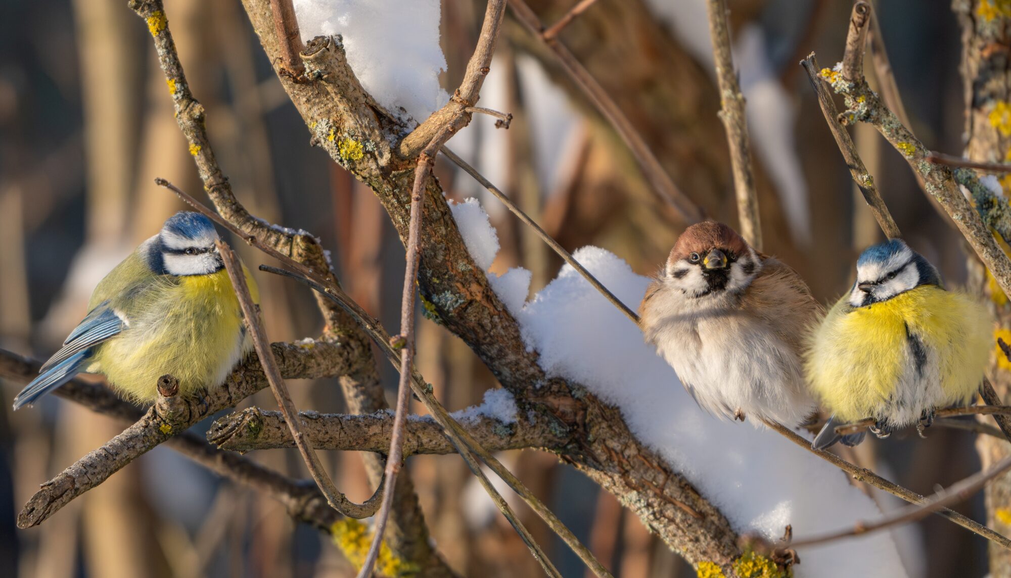 Valokuvaaja: Markku Saarinen