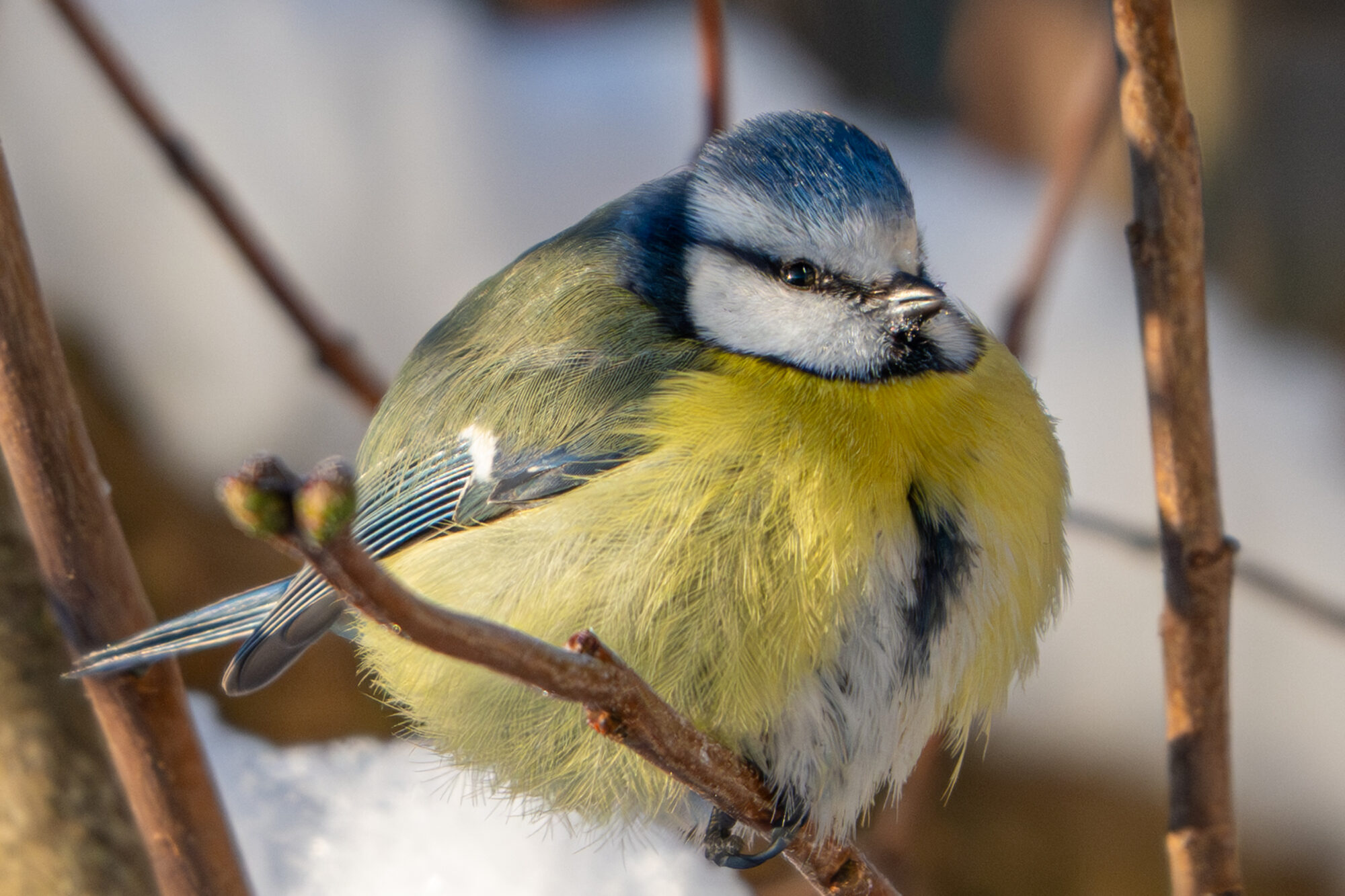 Valokuvaaja: Markku Saarinen