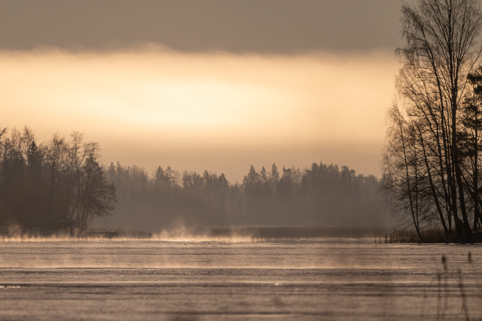 Valokuvaaja: Markku Saarinen