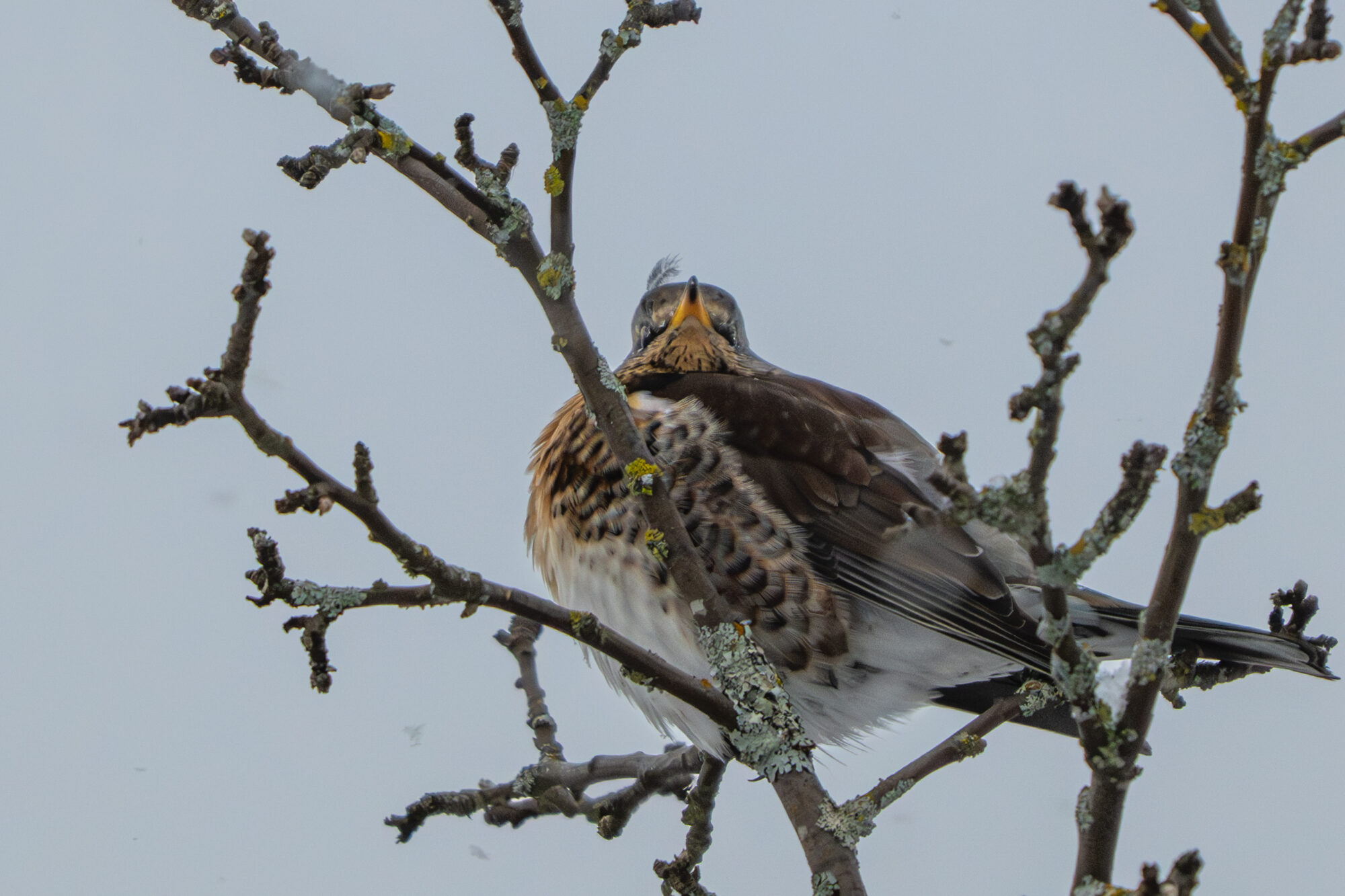 Valokuvaaja: Markku Saarinen