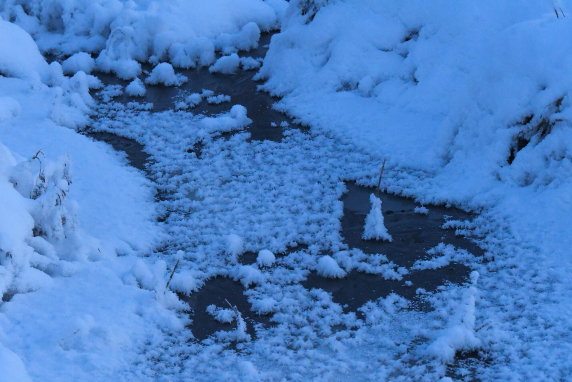 Valokuvaaja: Maija Savolainen