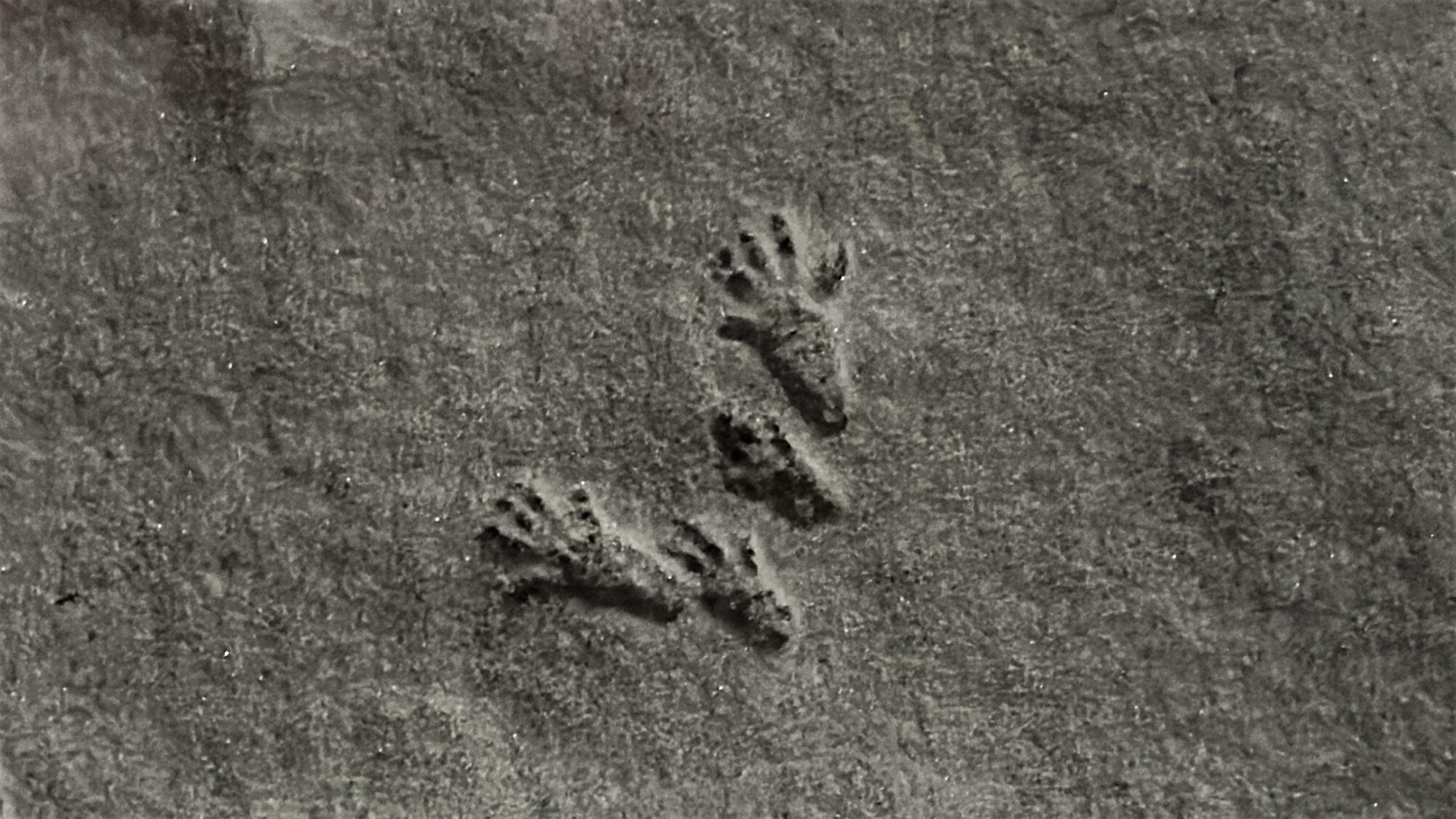 Valokuvaaja: Kalle Kivelä