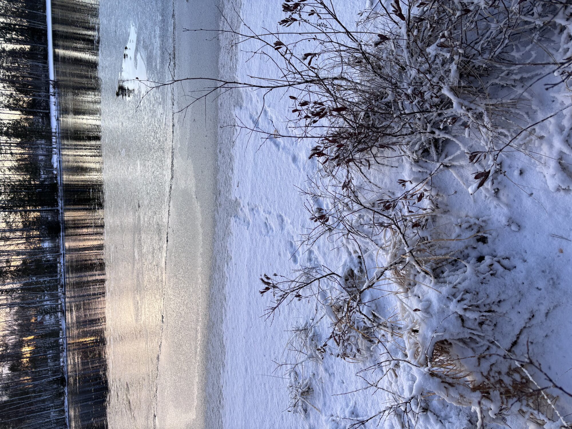 Valokuvaaja: Asta Erholtz