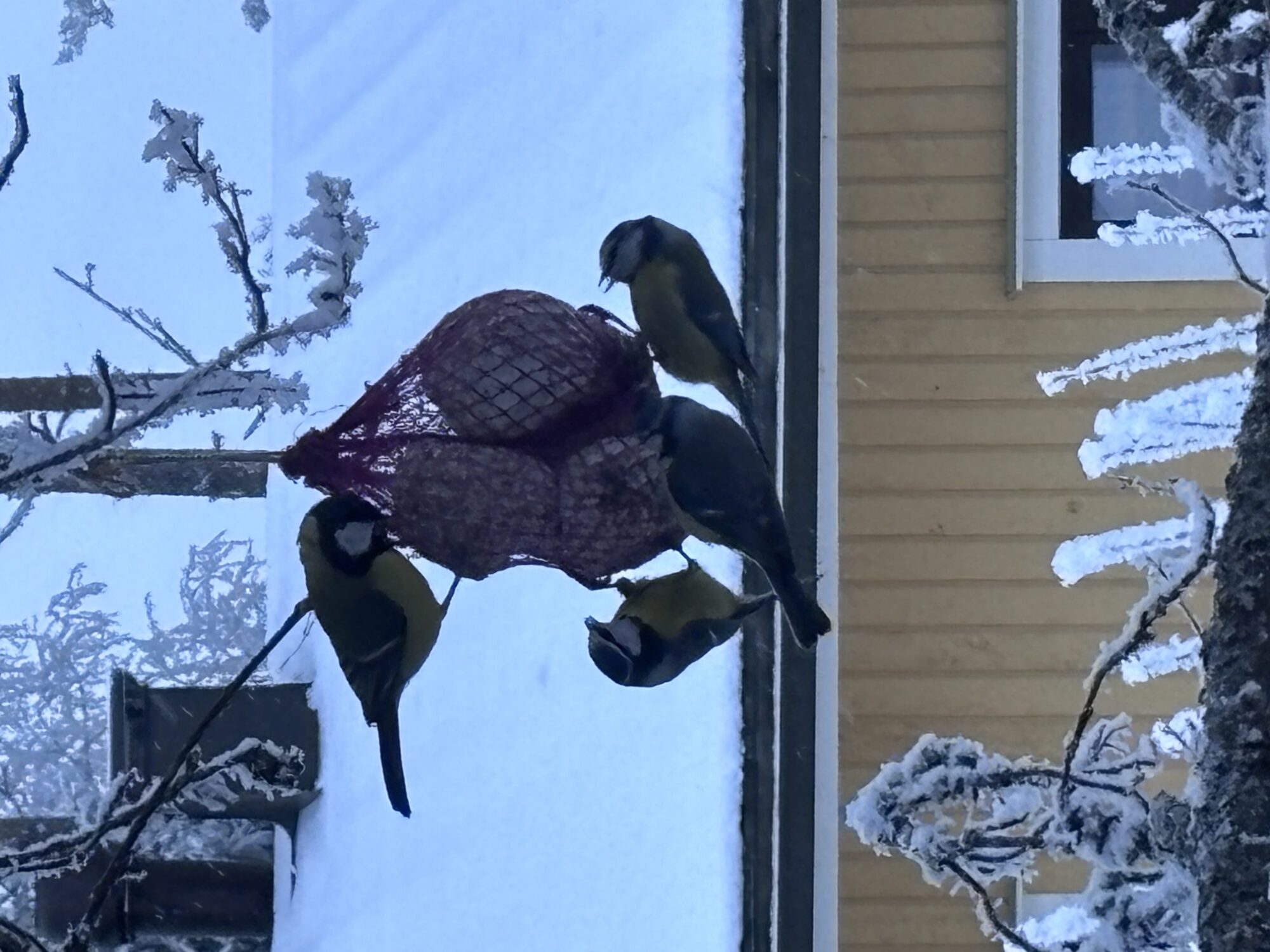 Valokuvaaja: Asta Erholtz