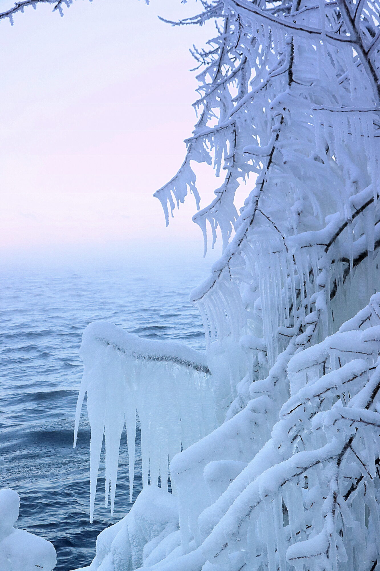 Valokuvaaja: Irja Lehtinen
