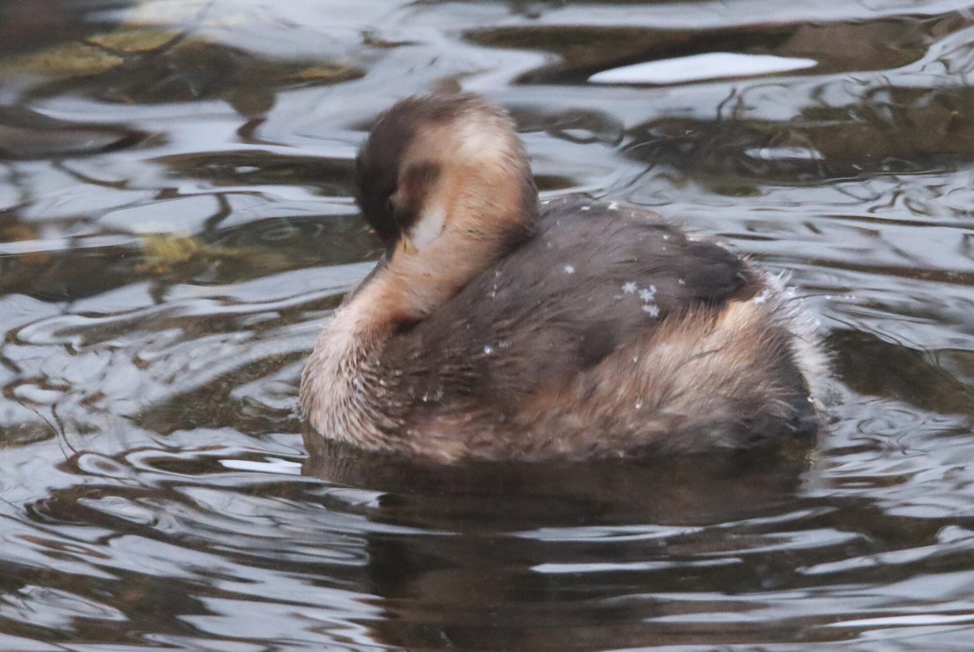 Valokuvaaja: Irja Lehtinen