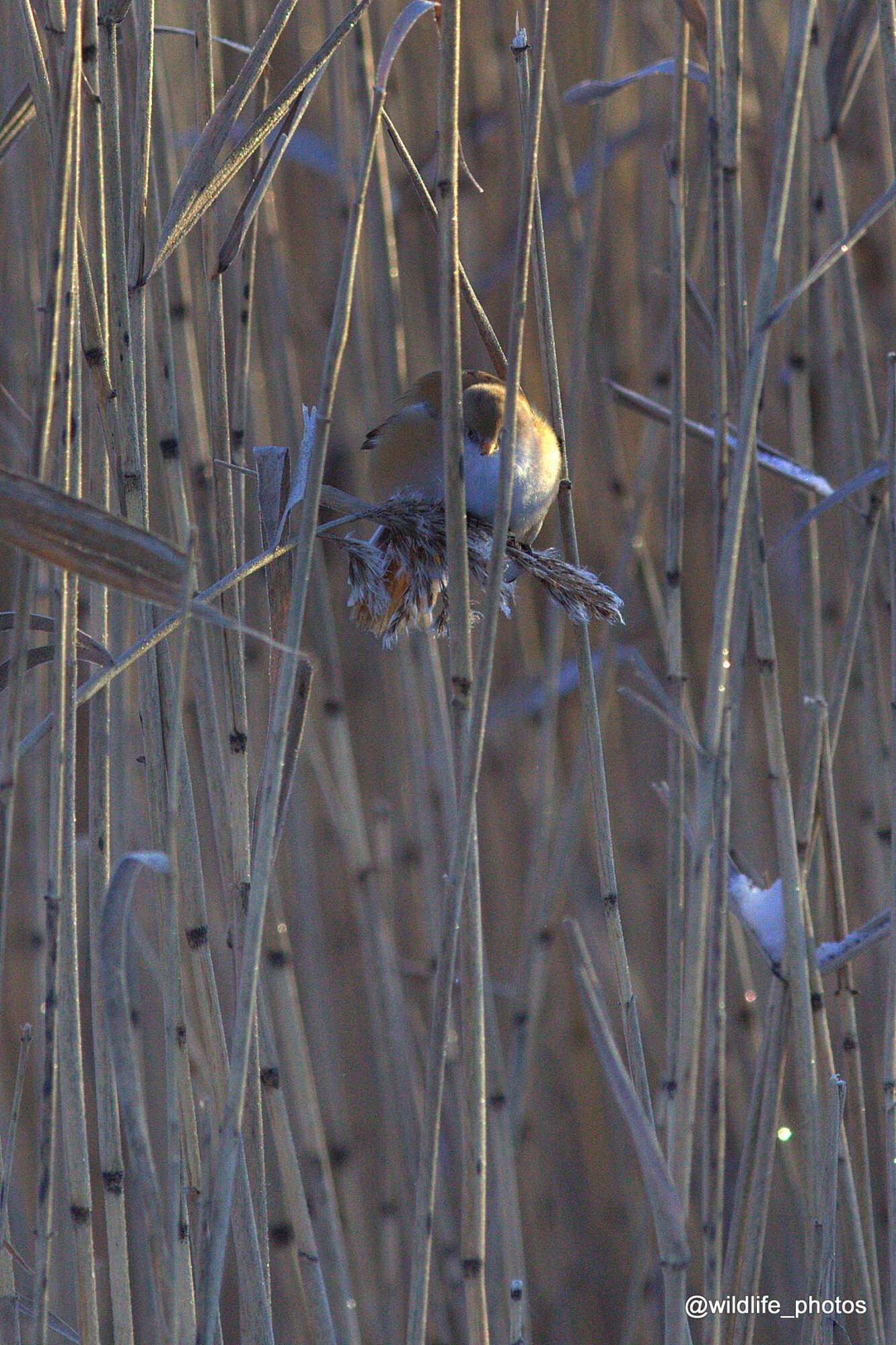 Valokuvaaja: tapio keinonen