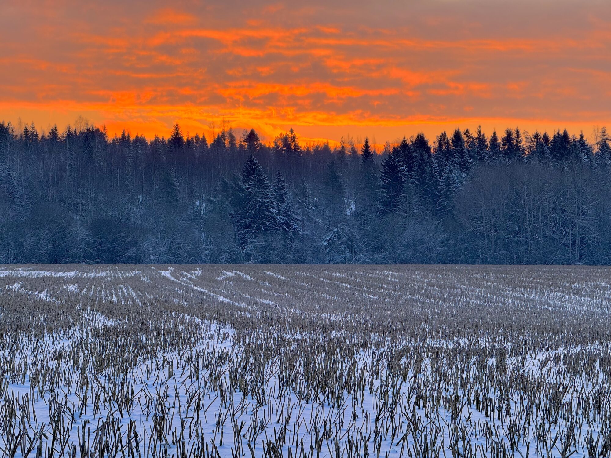 Valokuvaaja: Juhani Peltonen