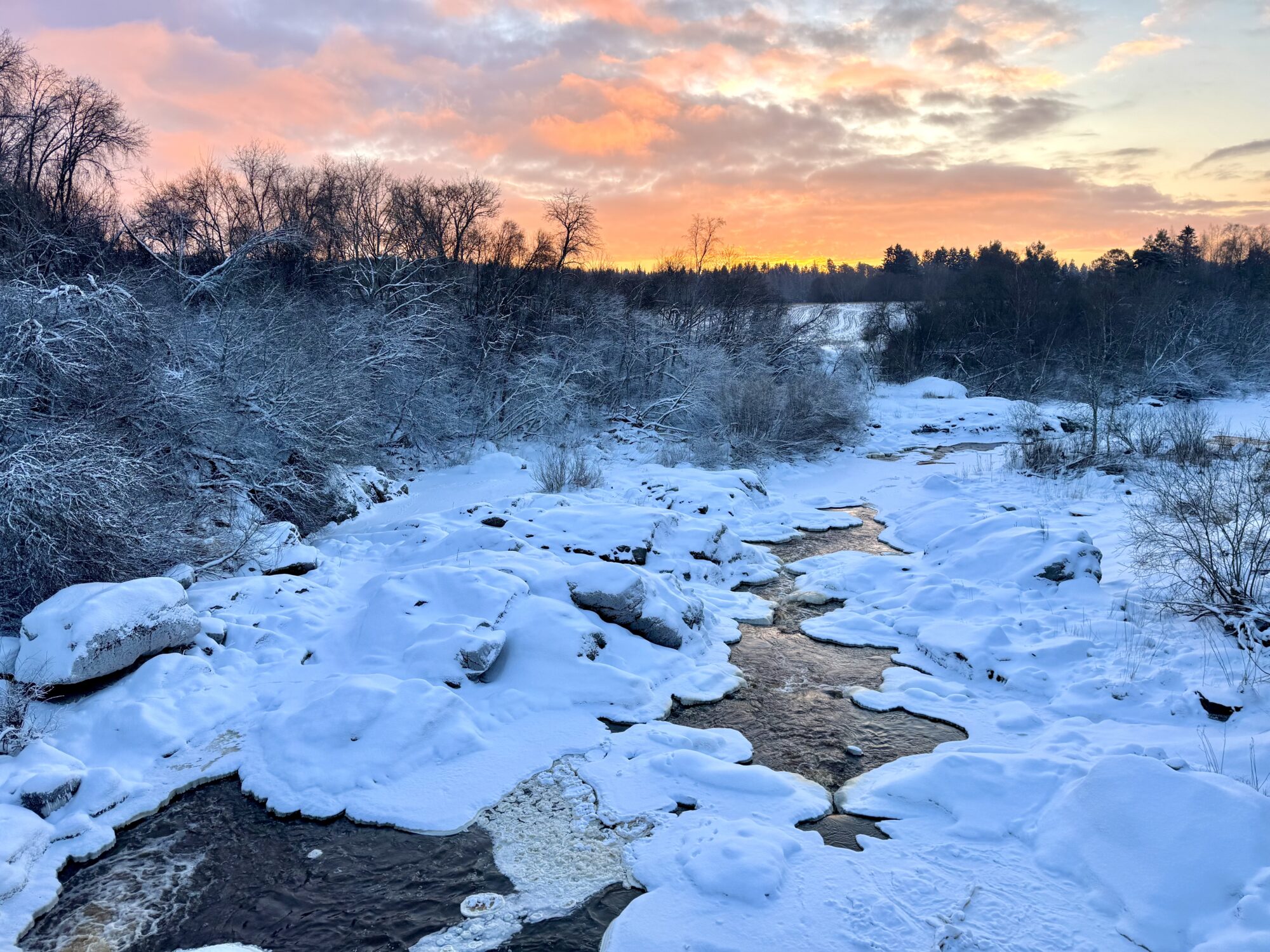 Valokuvaaja: Juhani Peltonen