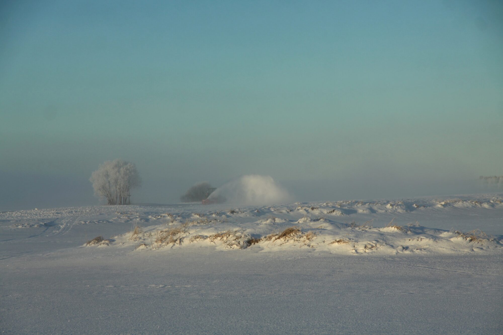 Valokuvaaja: Pirkko Siukonen