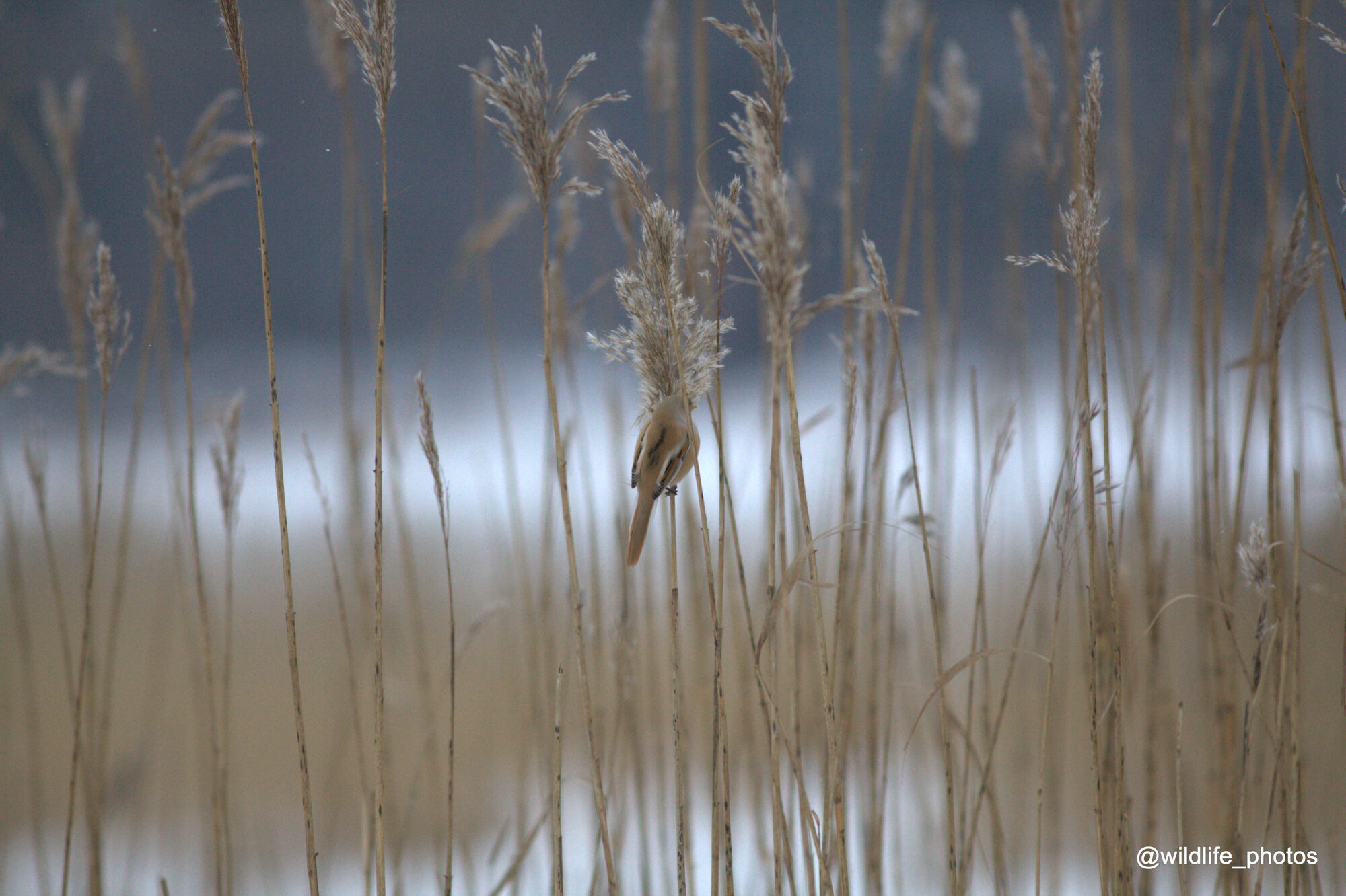Valokuvaaja: Tapio Keinonen