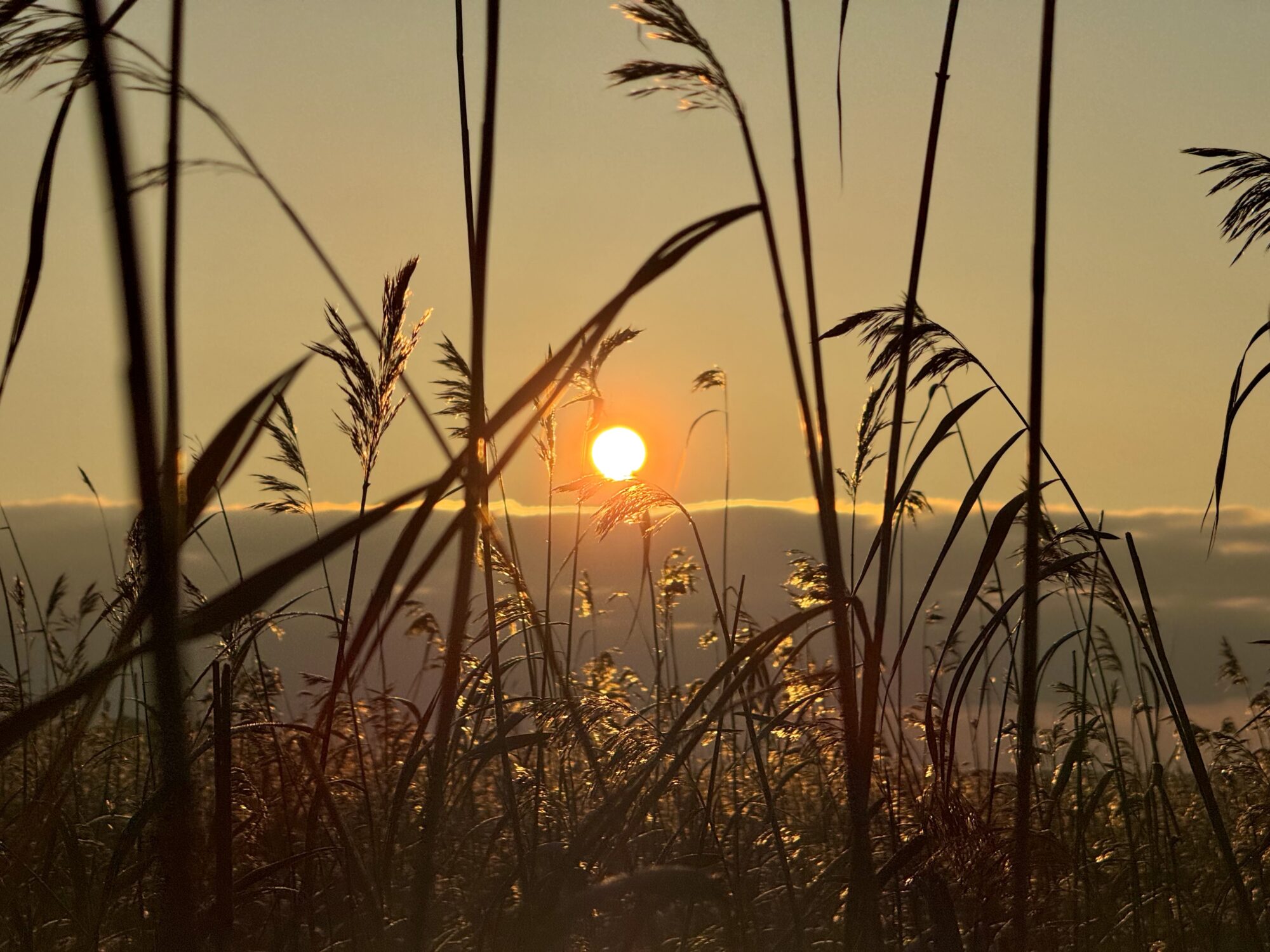 Valokuvaaja: Juhani Peltonen