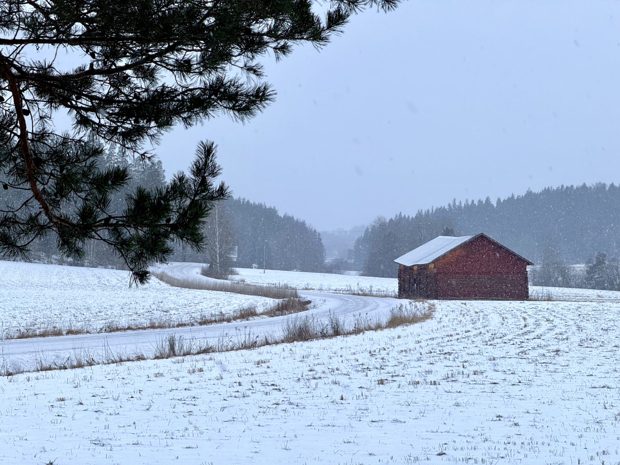 Valokuvaaja: Juhani Peltonen