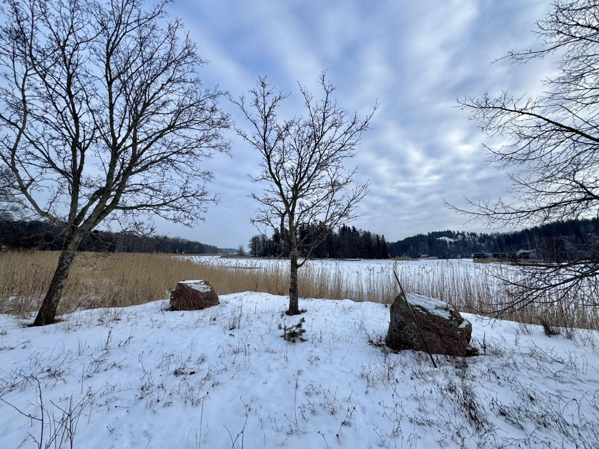 Valokuvaaja: Juhani Peltonen