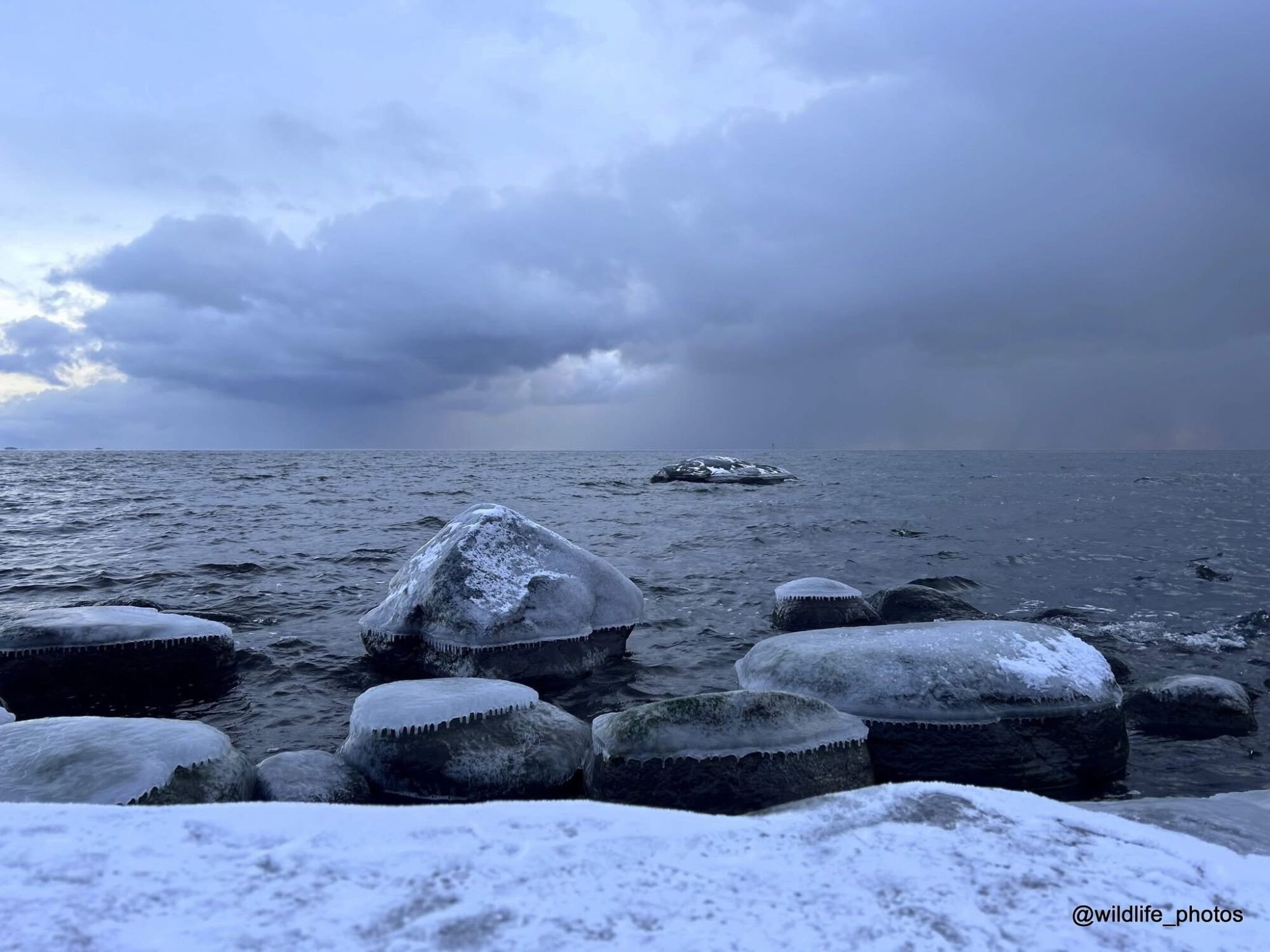 Valokuvaaja: tapio keinonen
