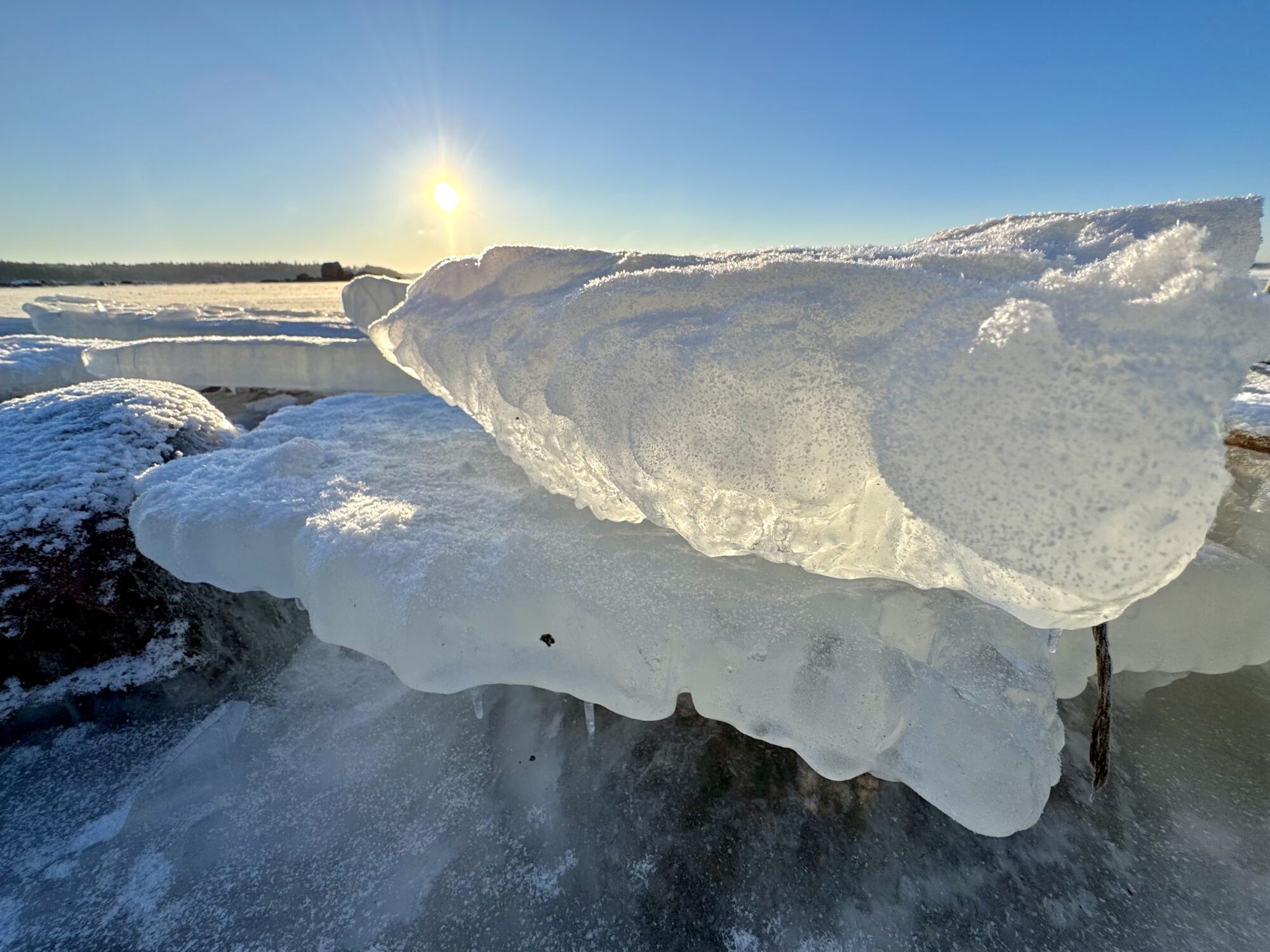 Valokuvaaja: Juhani Peltonen