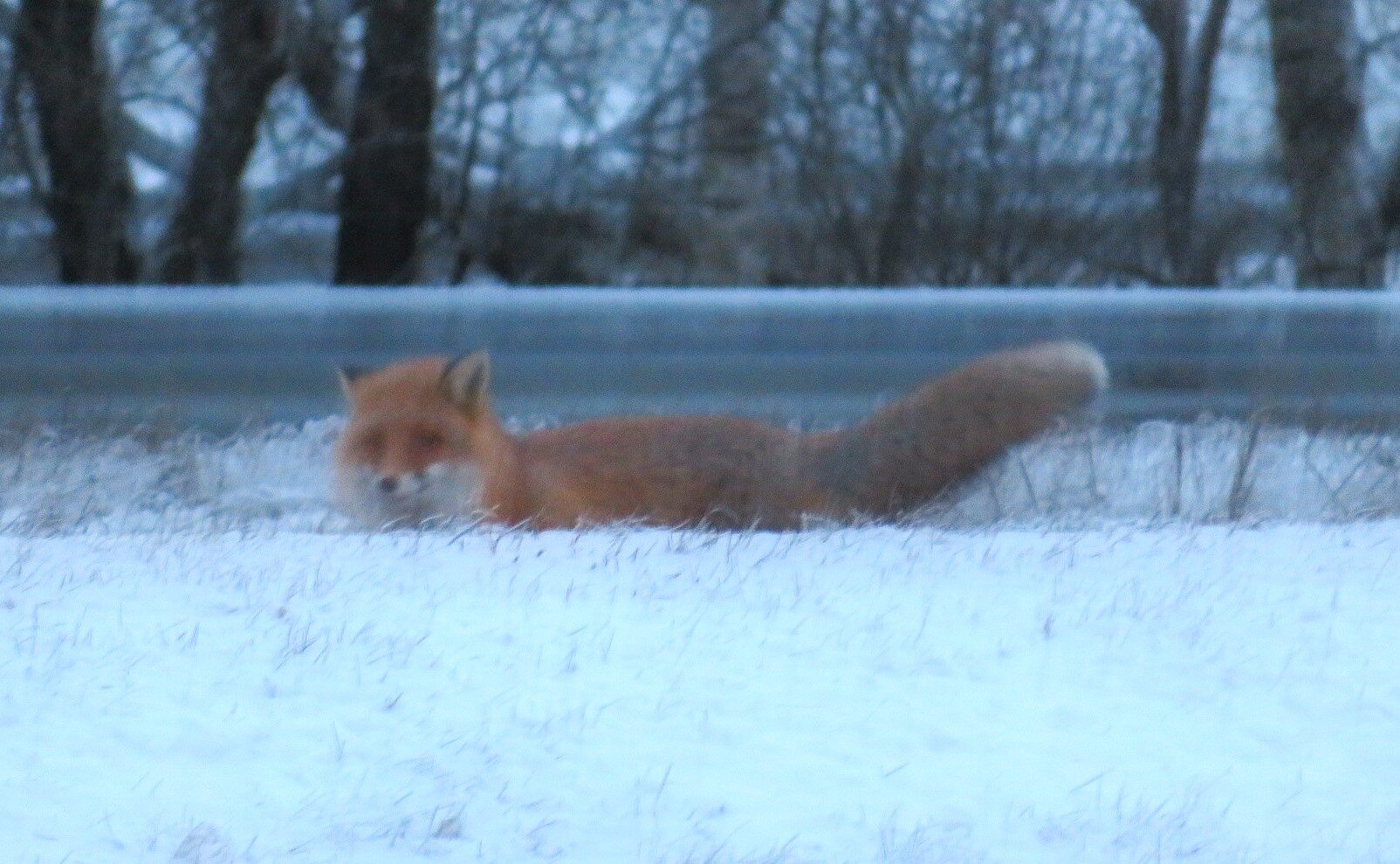 Valokuvaaja: Risto Kangassalo