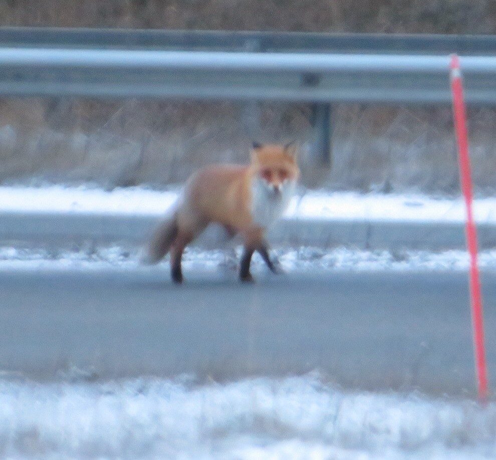 Valokuvaaja: Risto Kangassalo