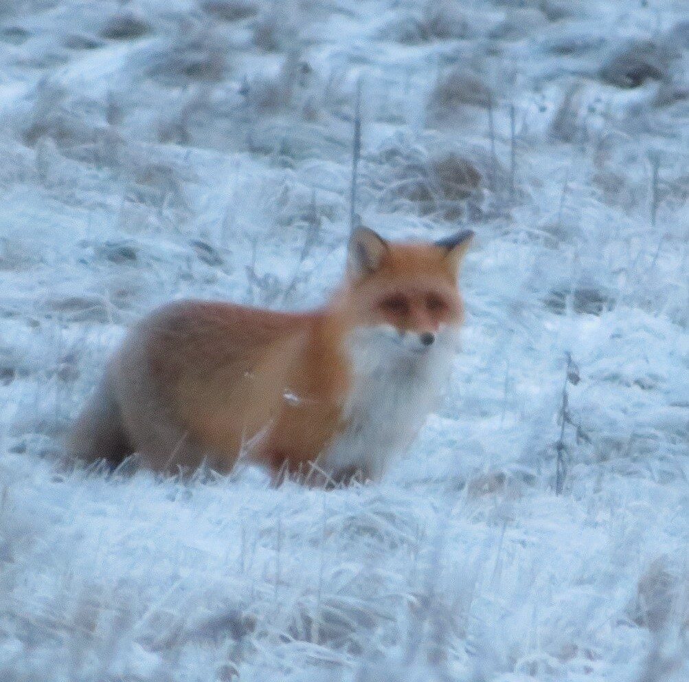 Valokuvaaja: Risto Kangassalo