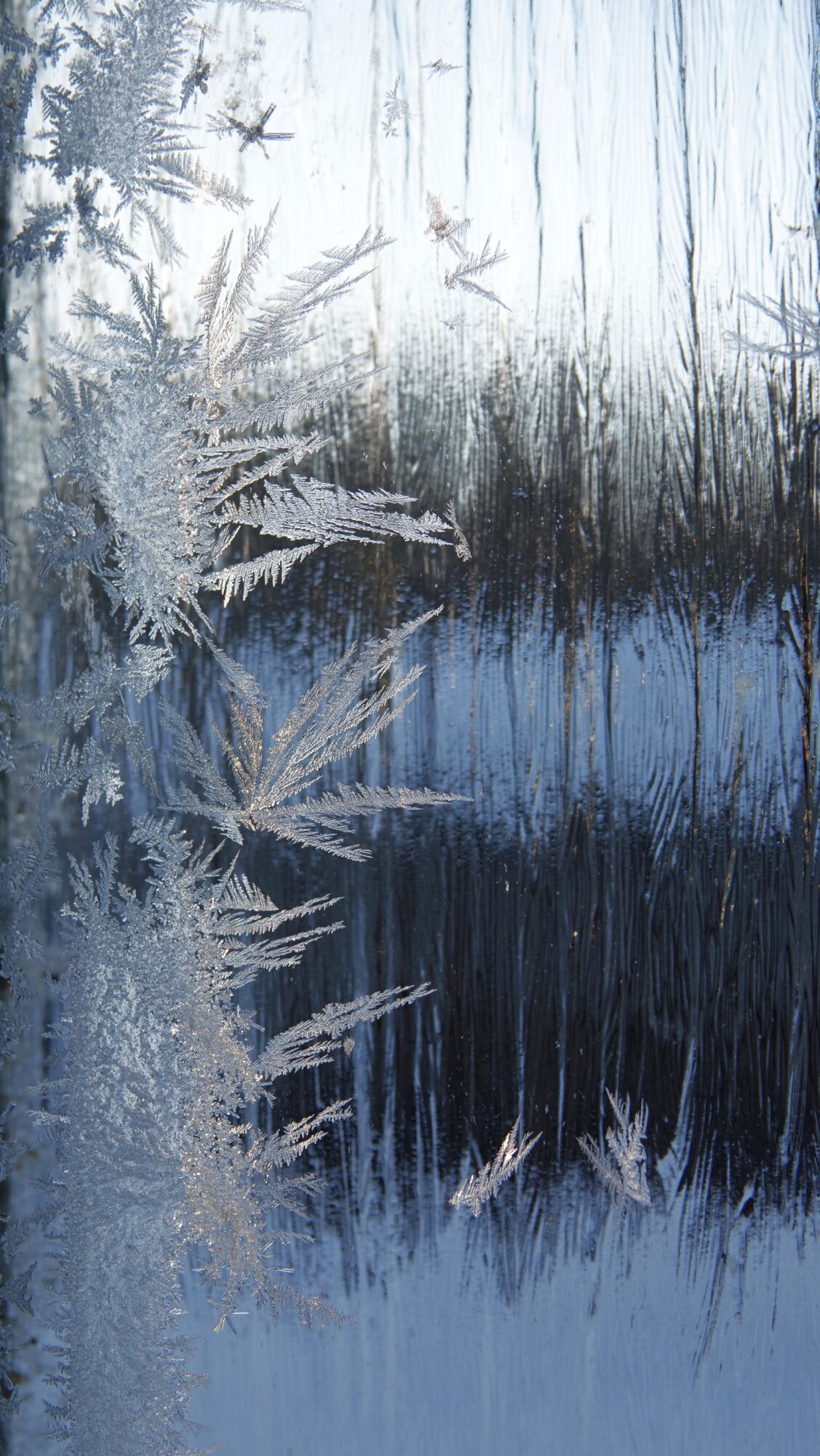 Valokuvaaja: Kaarina Heiskanen