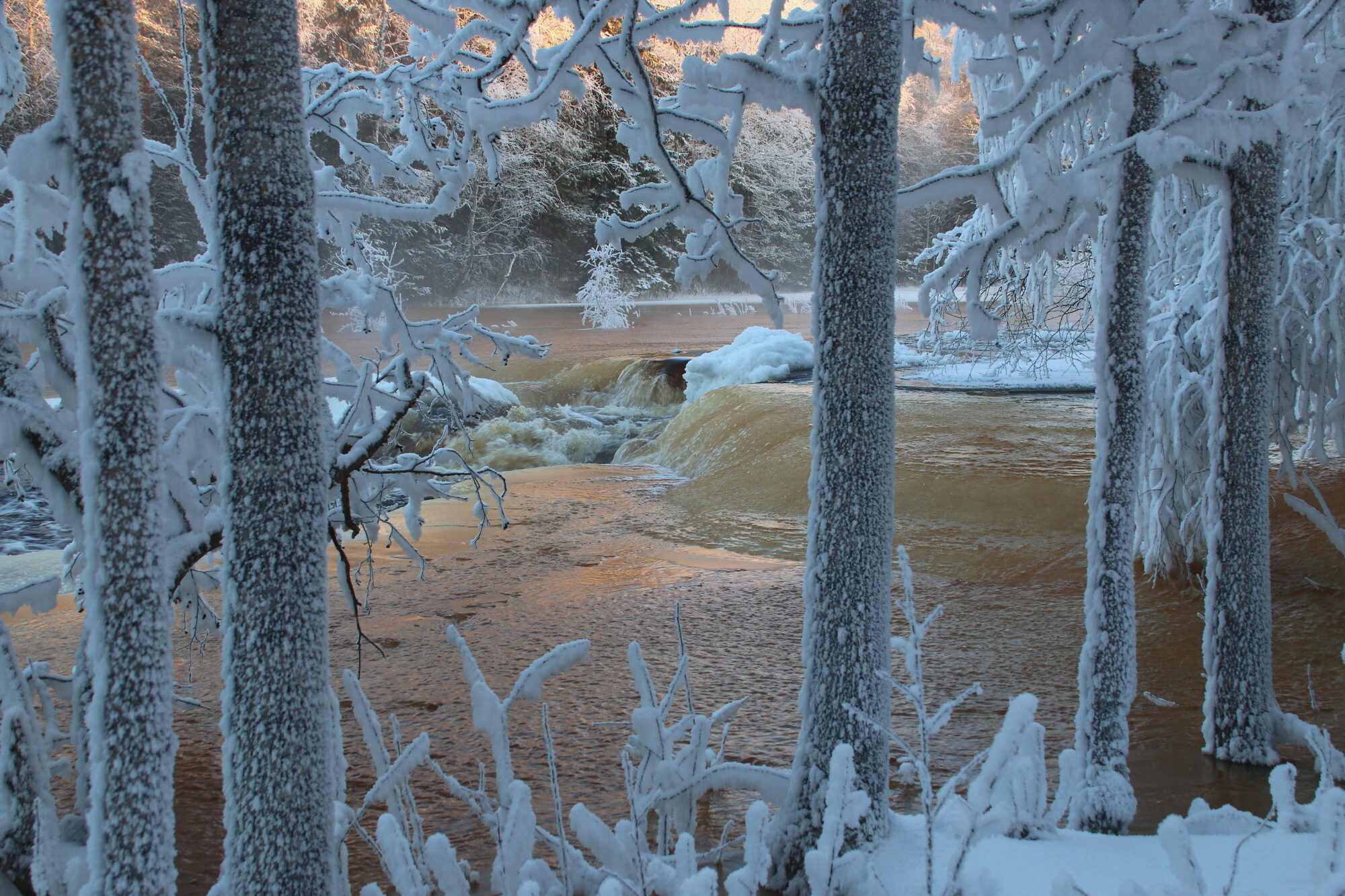 Valokuvaaja: Tuukka Pahtamaa