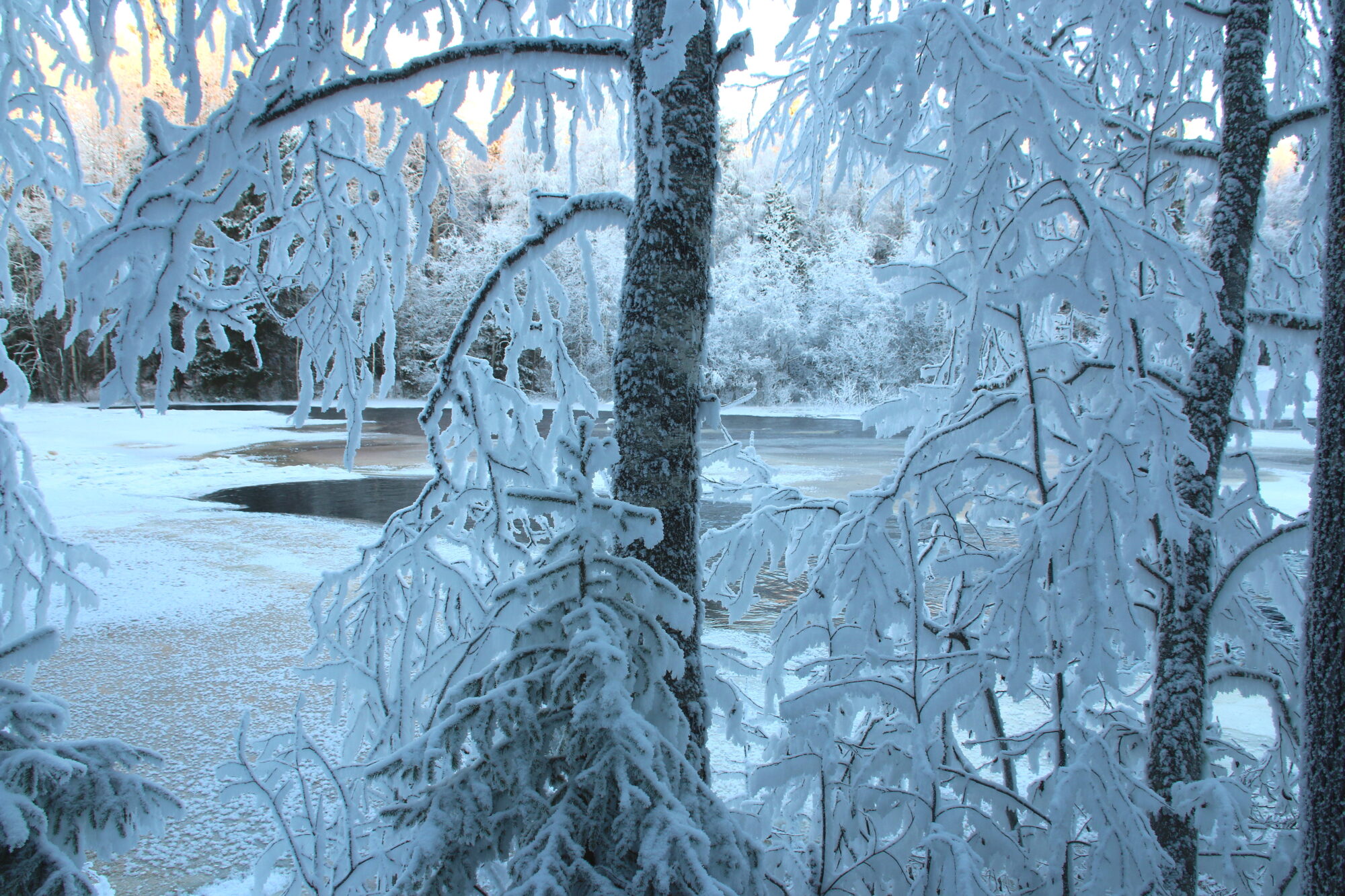 Valokuvaaja: Tuukka Pahtamaa