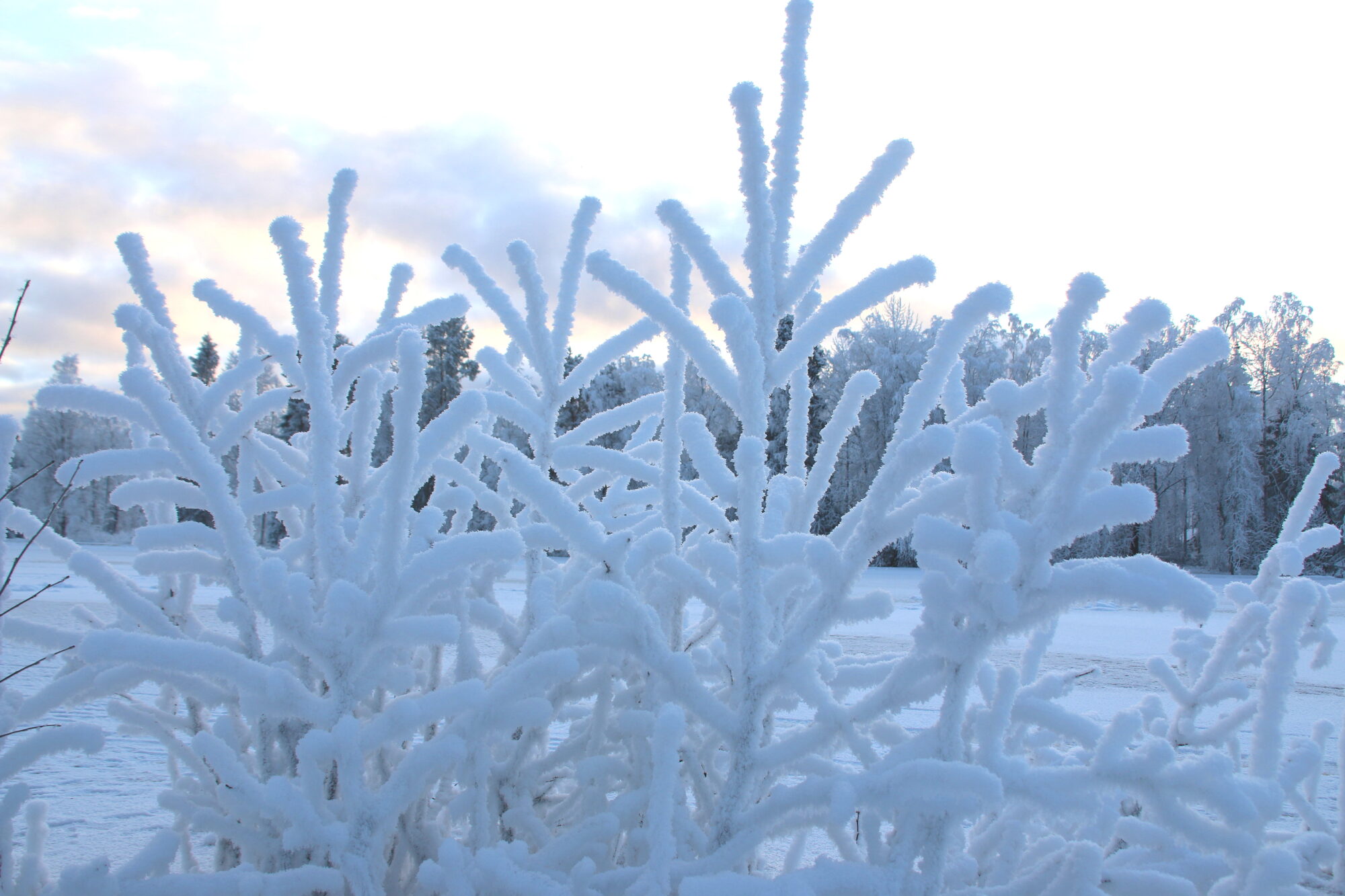 Valokuvaaja: Tuukka Pahtamaa