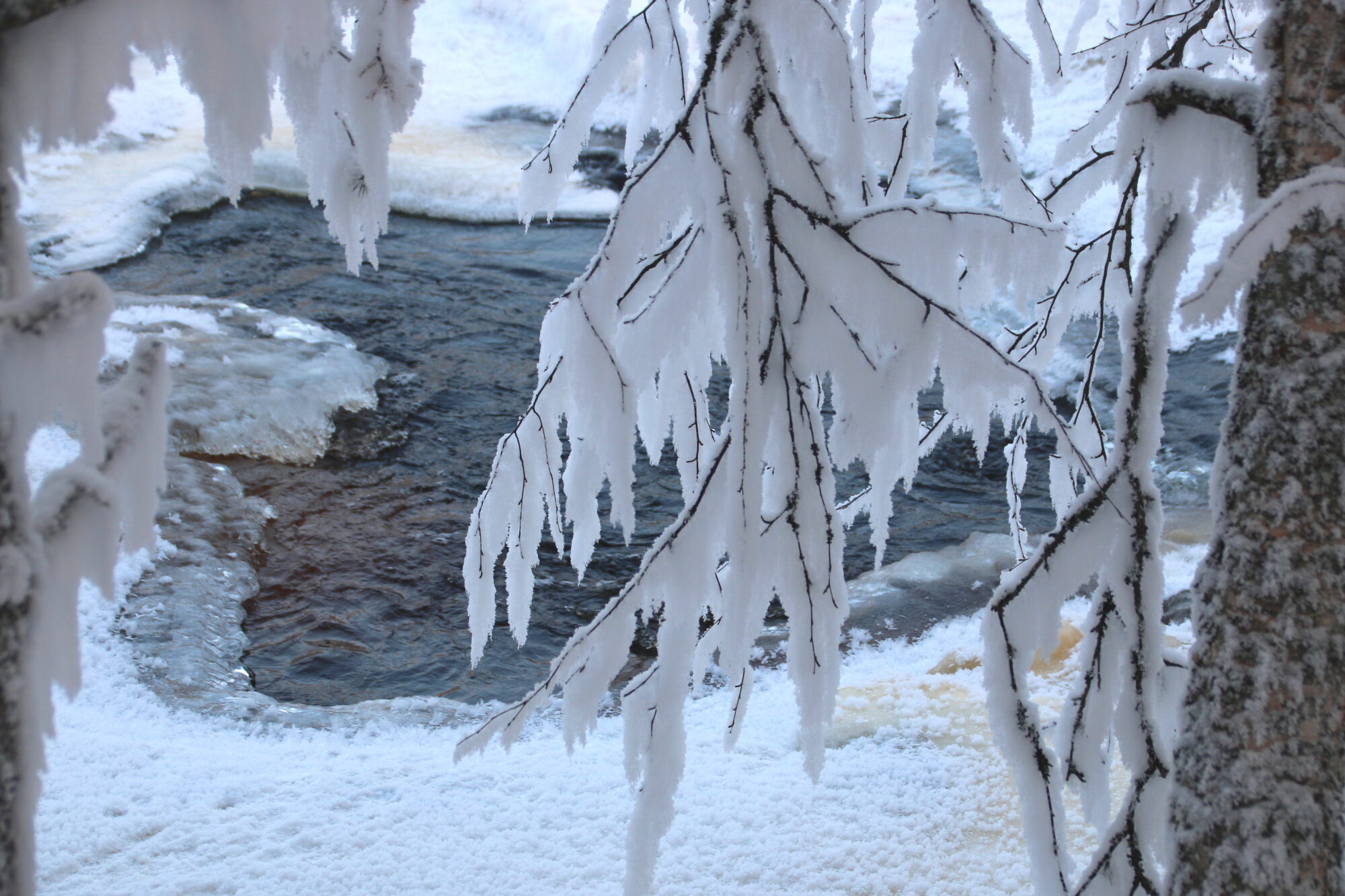 Valokuvaaja: Tuukka Pahtamaa