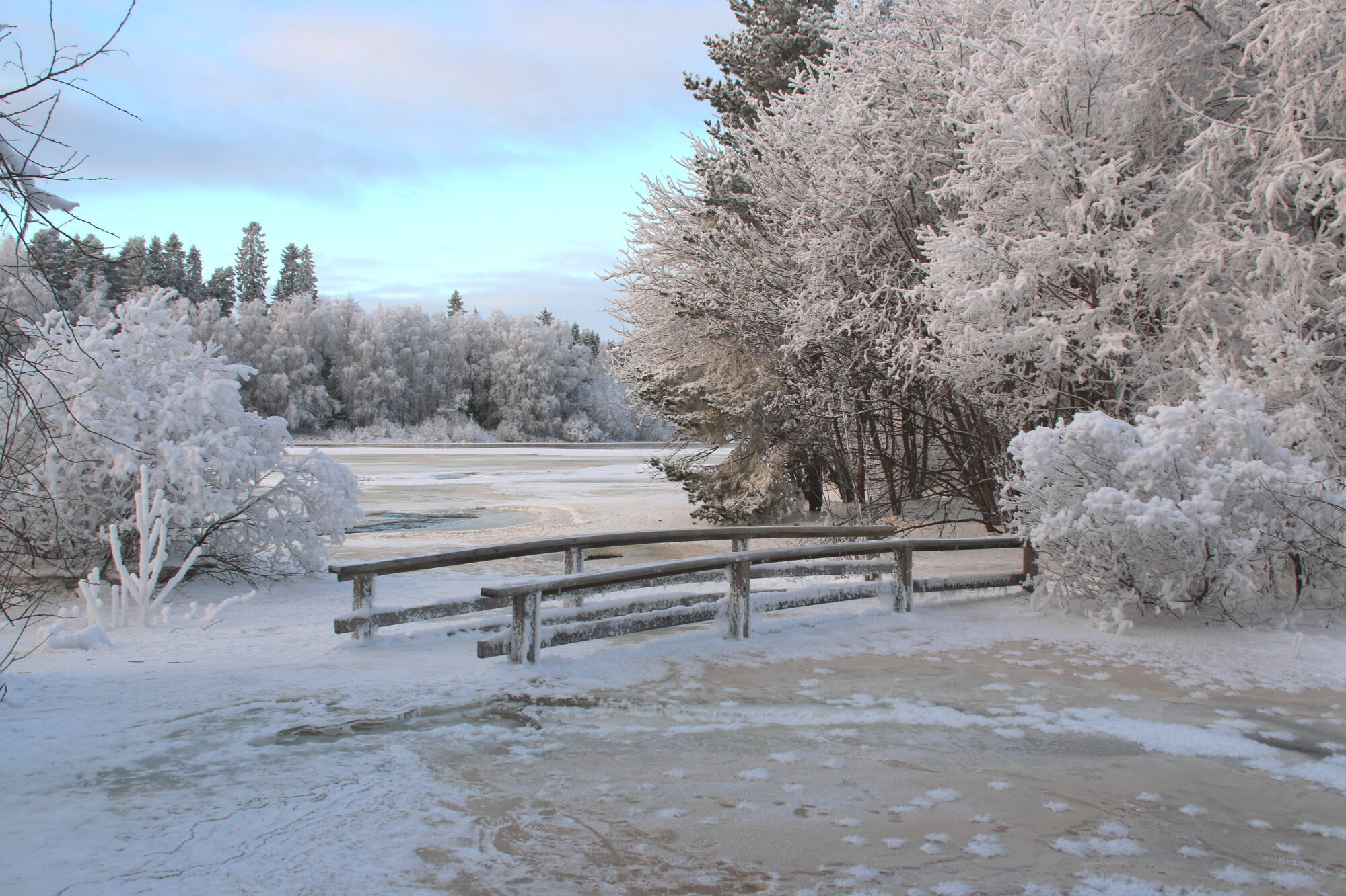 Valokuvaaja: Tuukka Pahtamaa