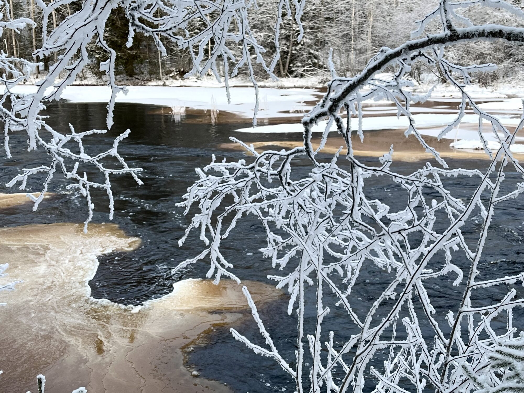 Valokuvaaja: Tuukka Pahtamaa
